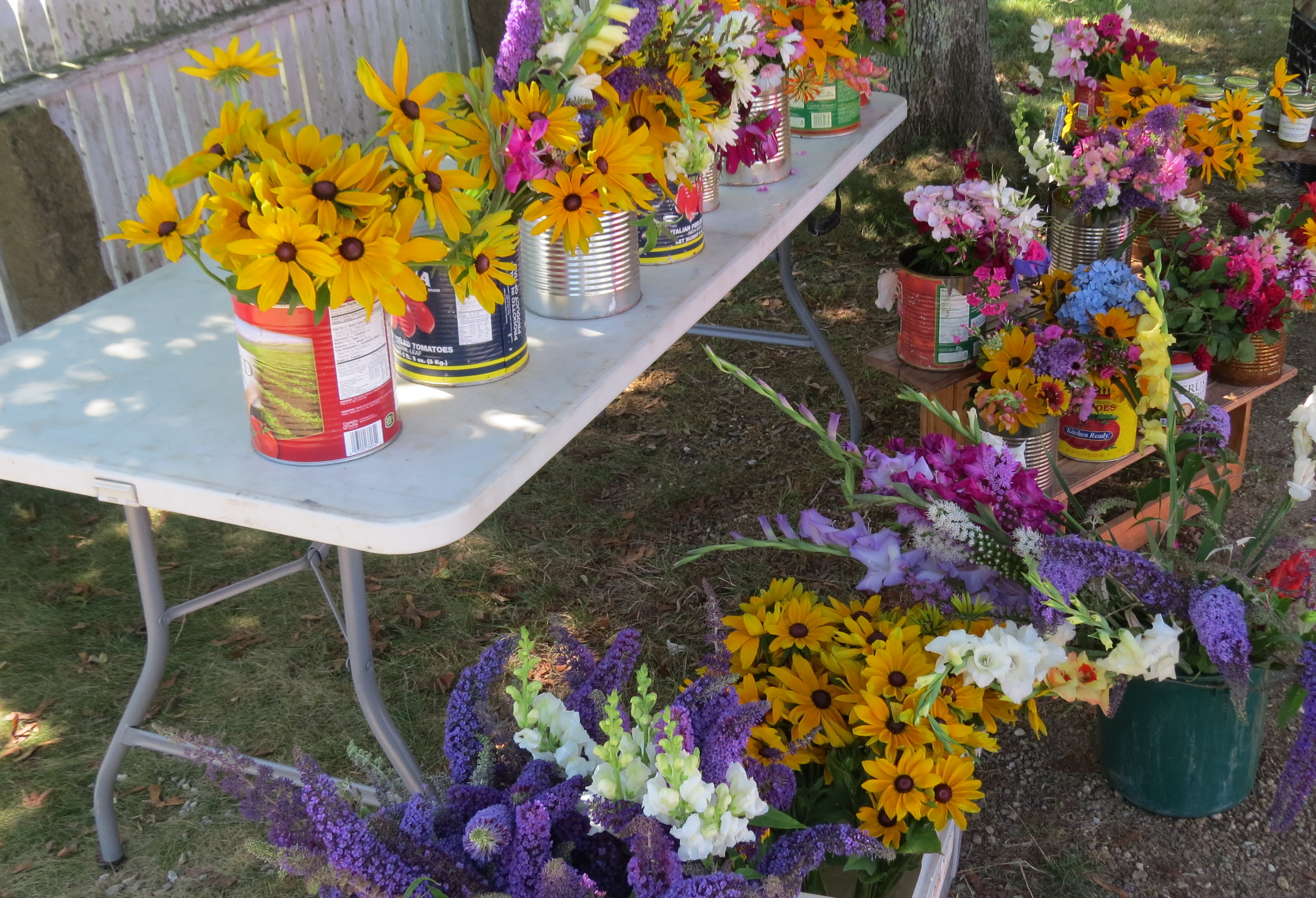 Flowers at the West Tisbury Farmers Market