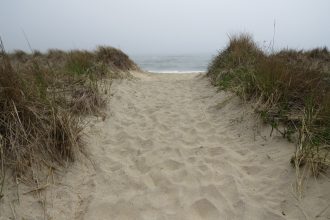 Beach Path