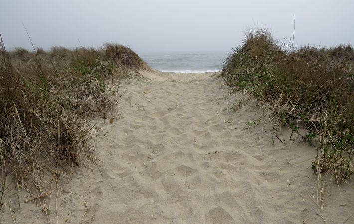 Beach Path