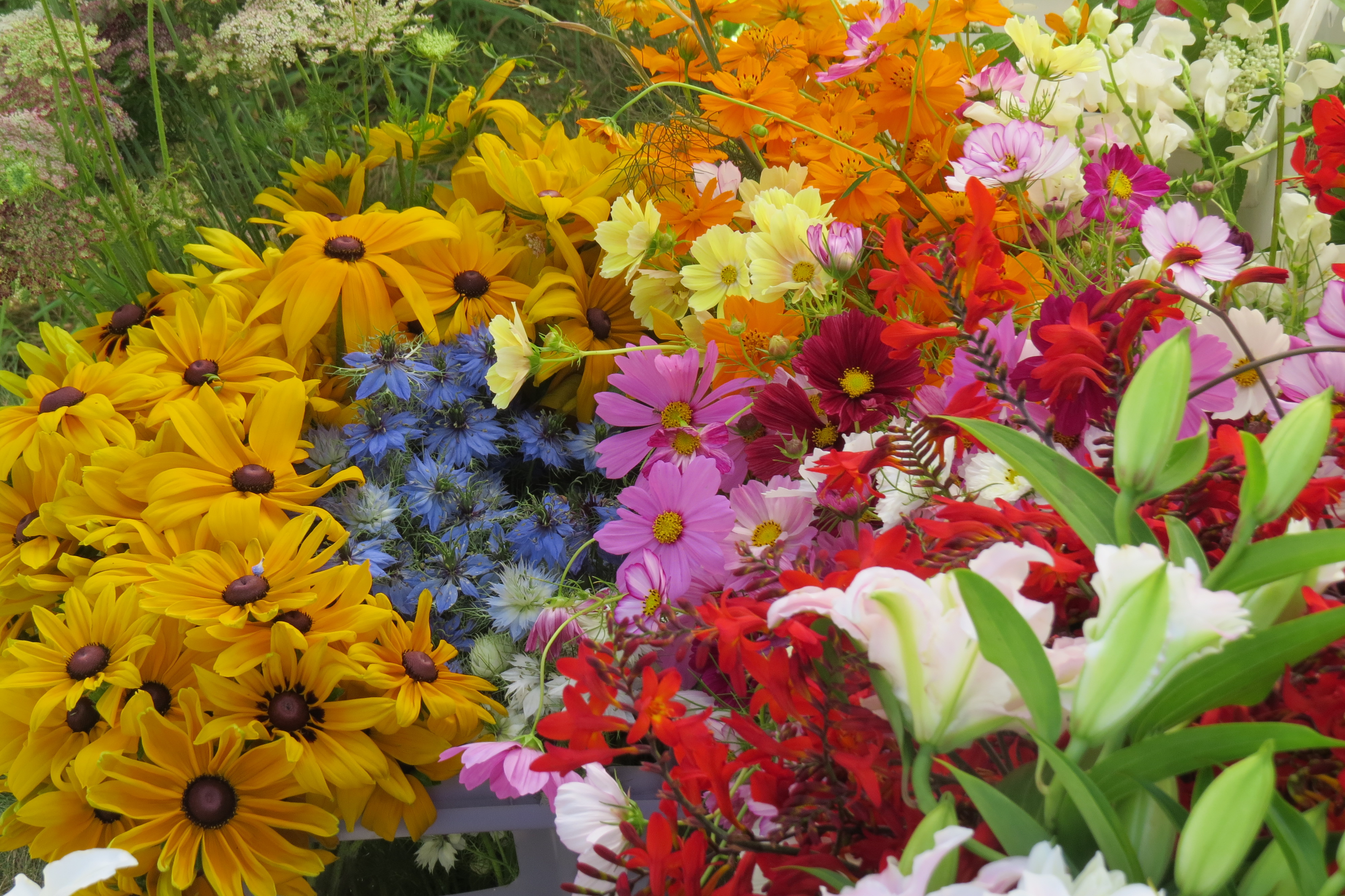 West Tisbury Farmers Market Flowers