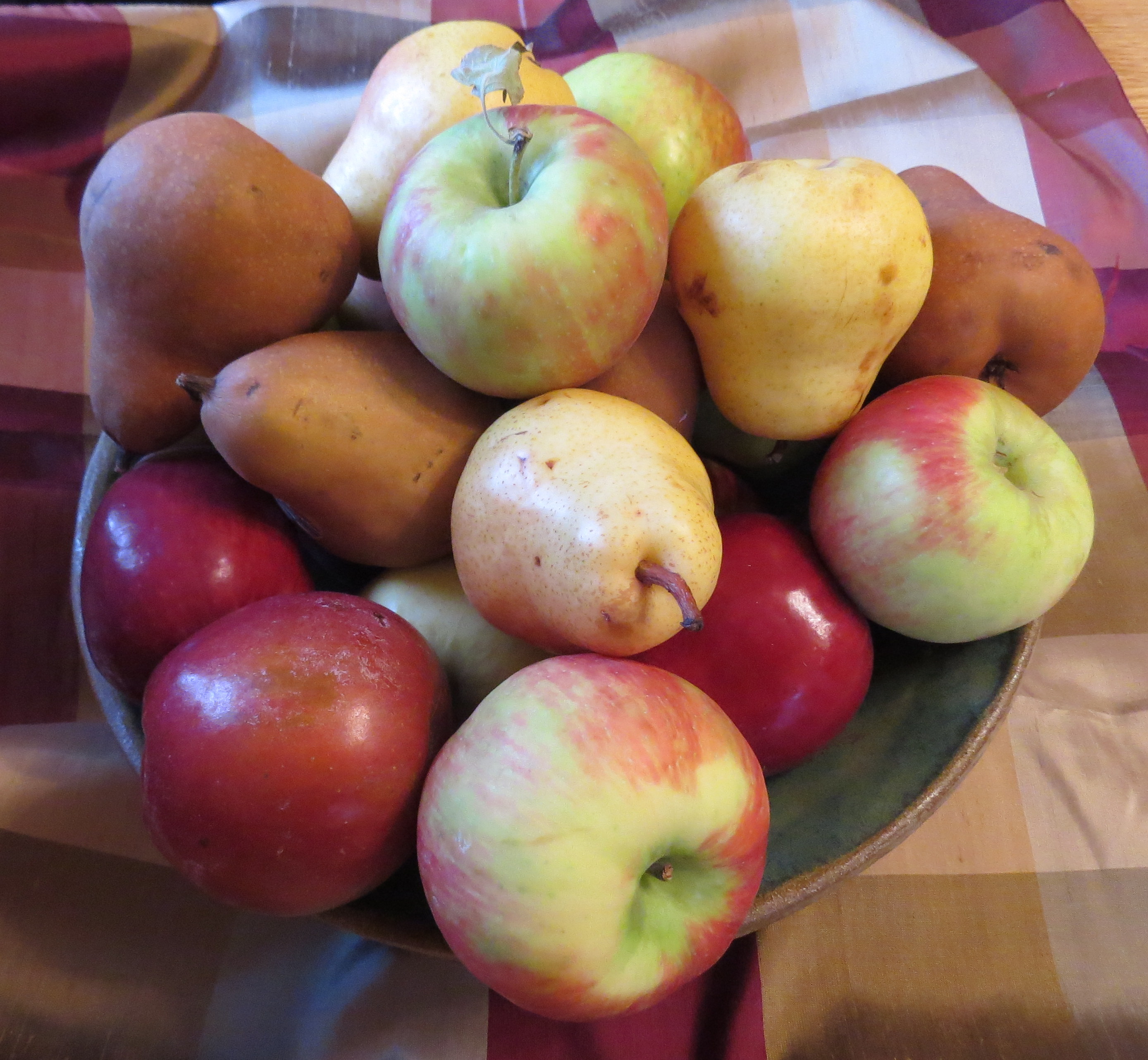 Apples and Pears in a Bowl