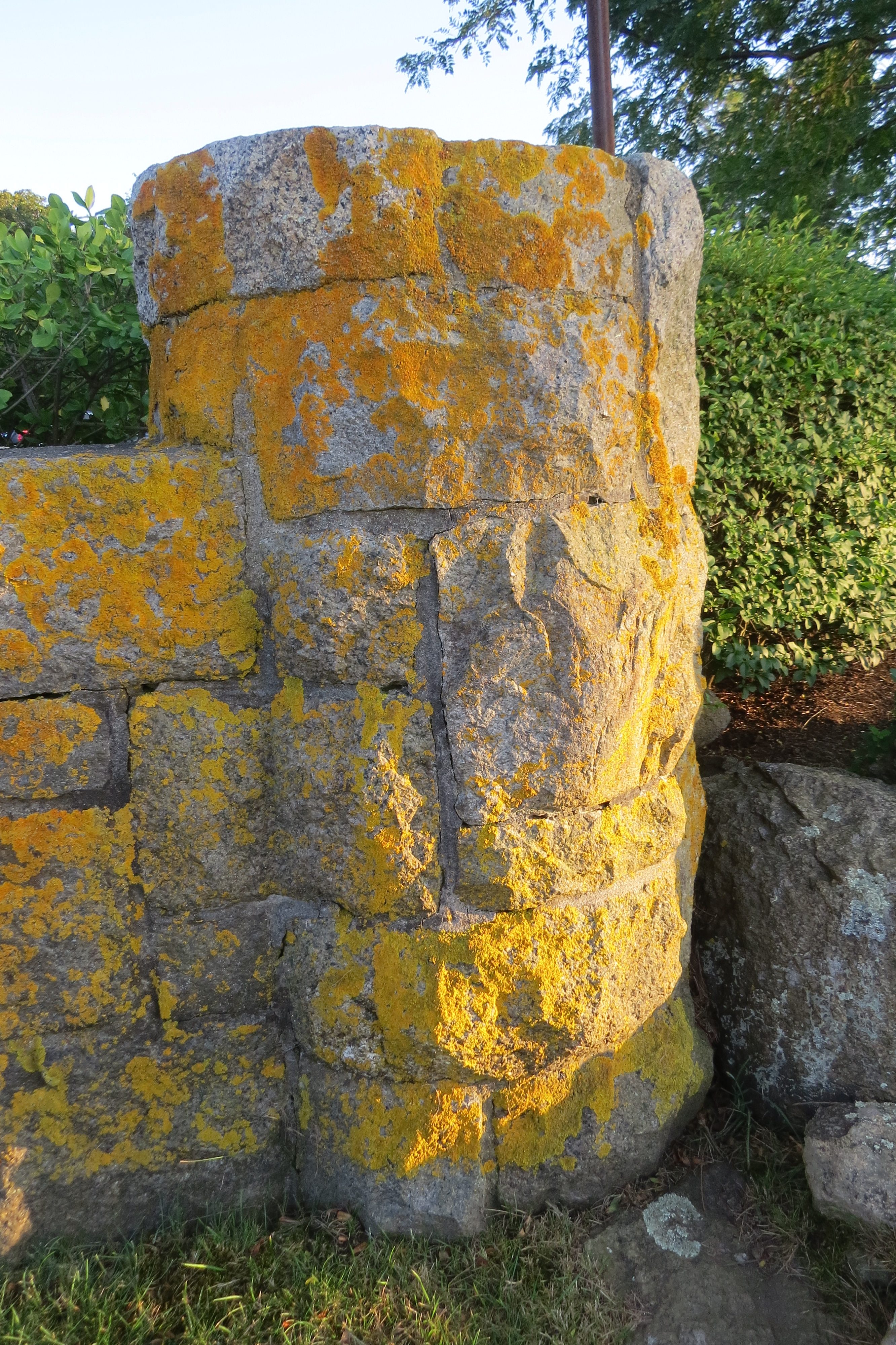 Yellow Lichen on Stone Wall