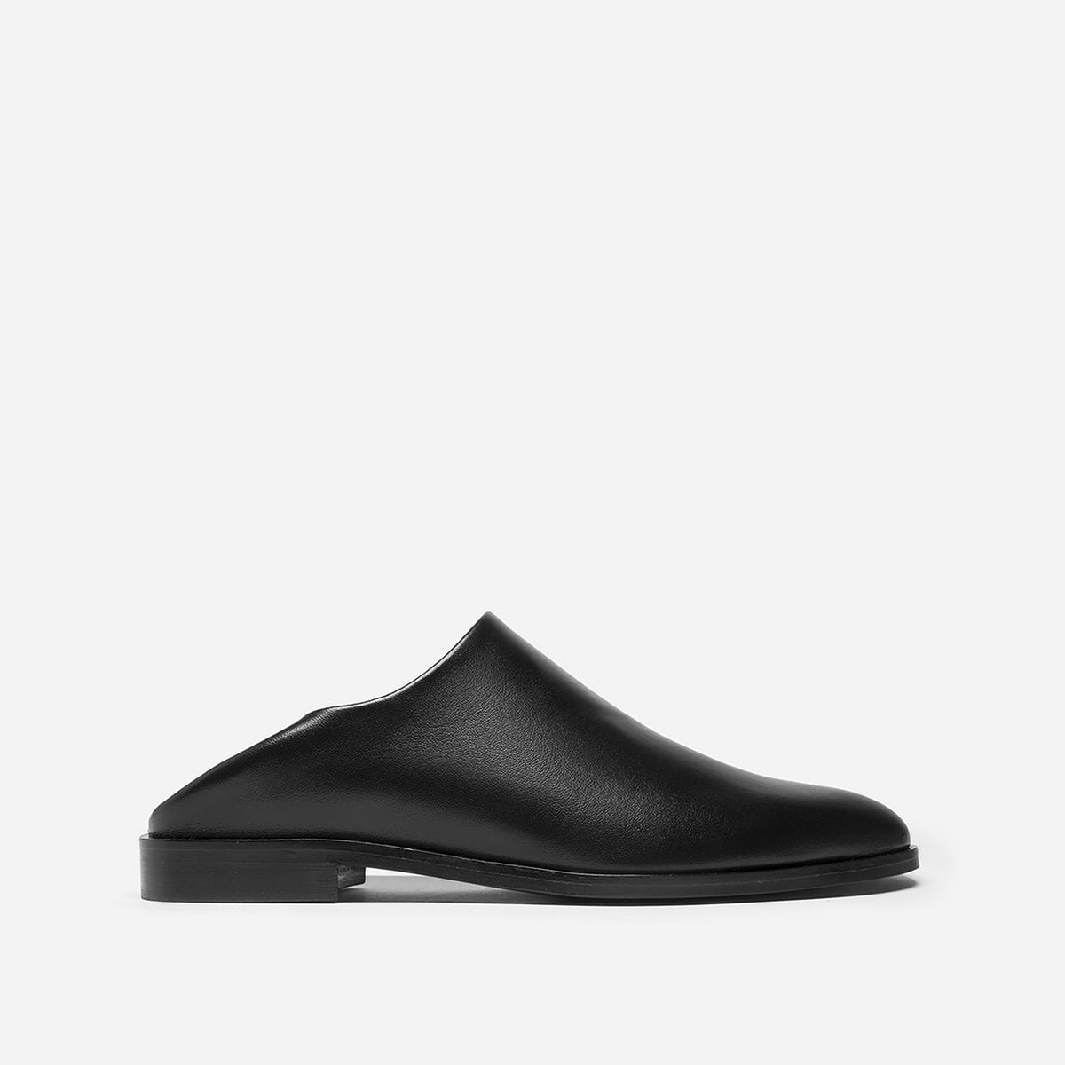 Everlane Modern Babo Shoe