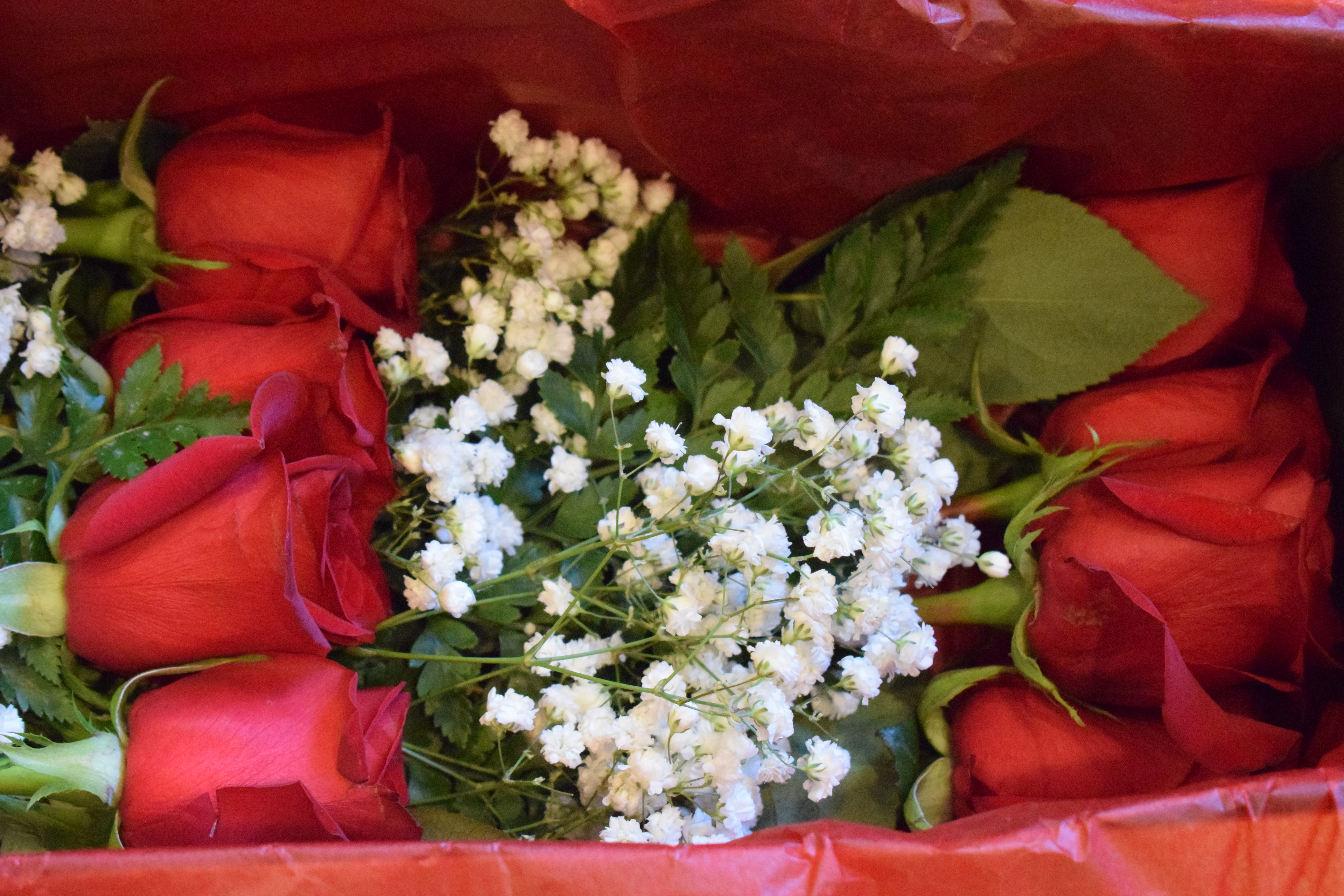 Red Roses in a Delivery Box, Favorite Things Number 10