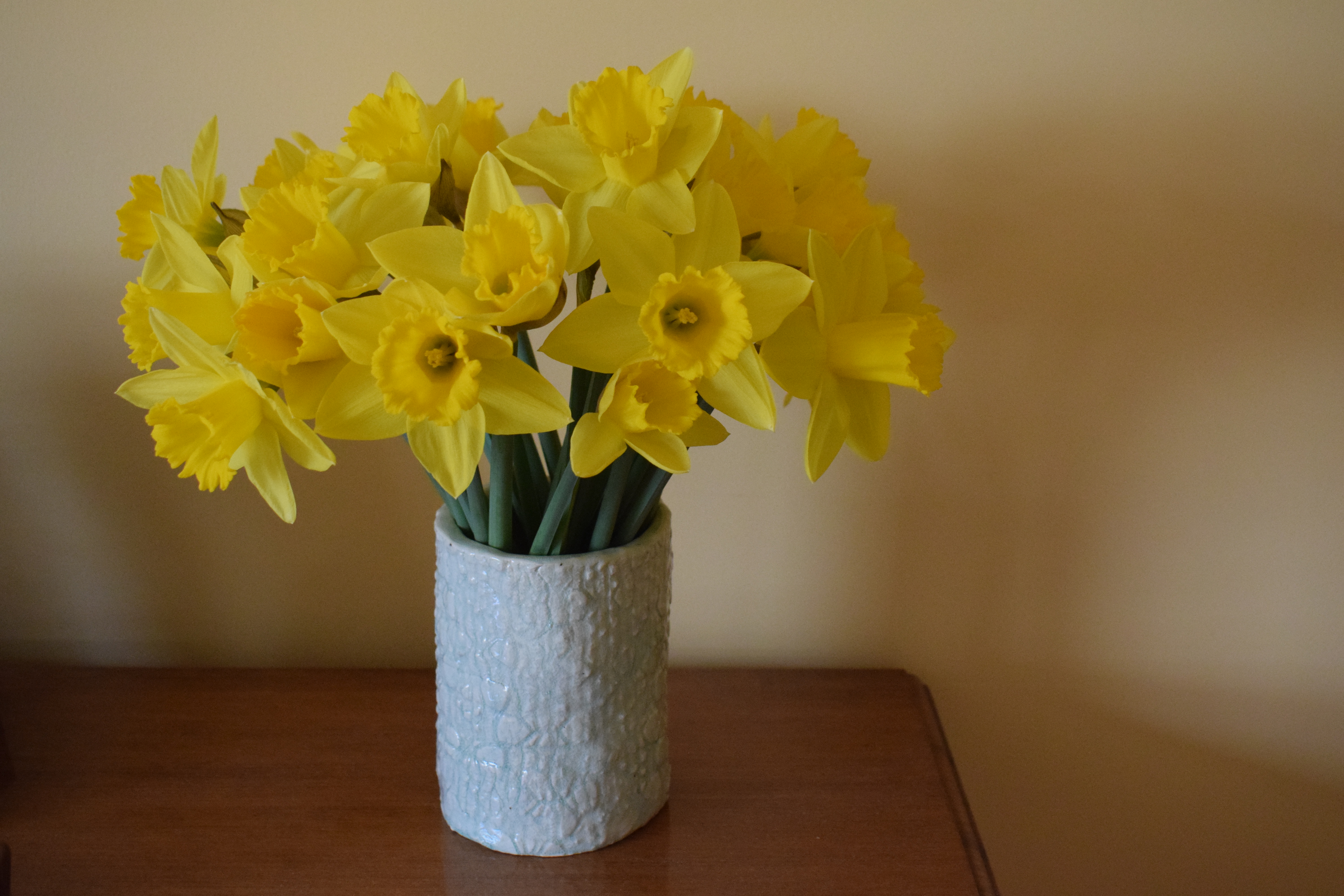 Daffodils, It's the weekend number 43