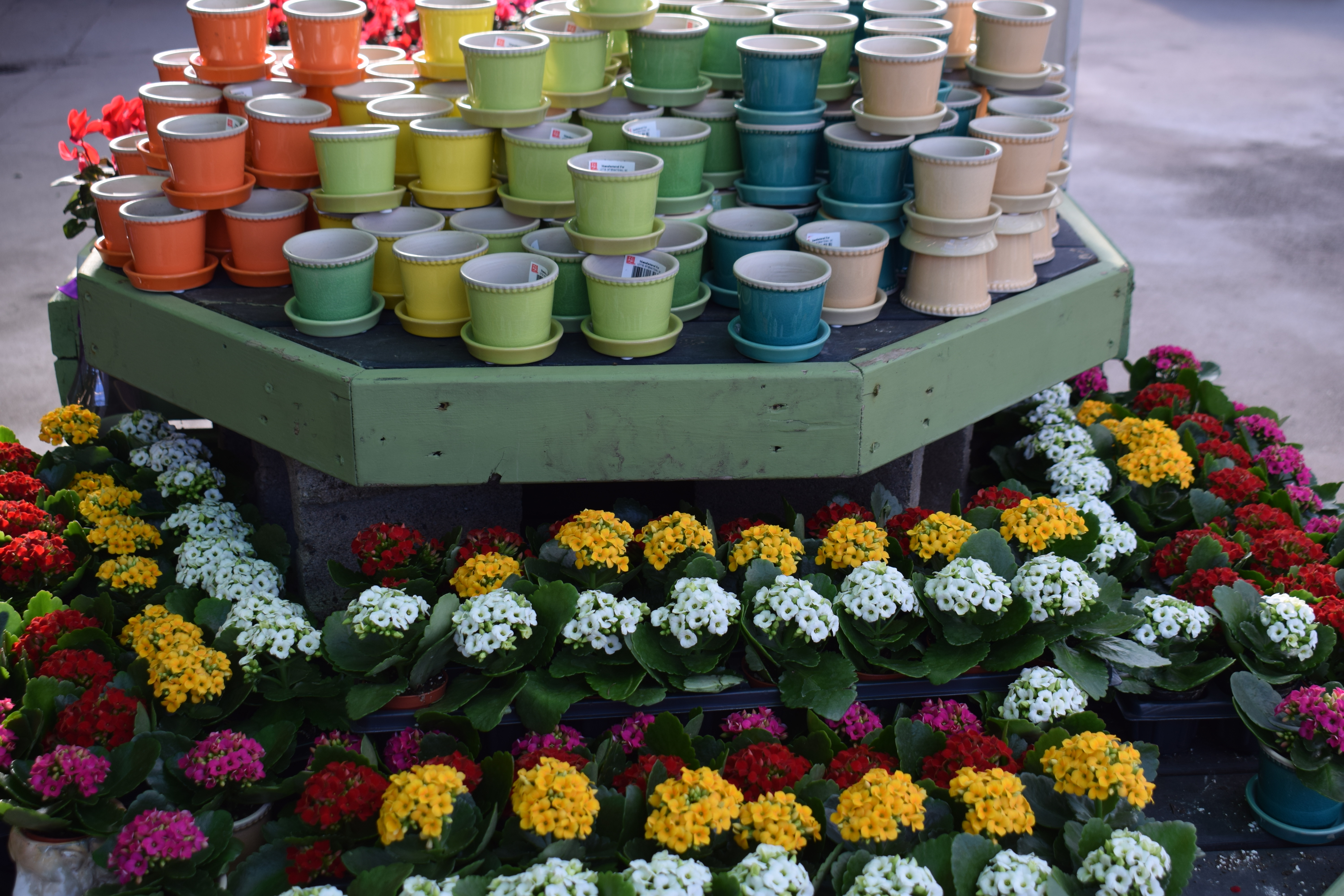 Favorite Things Number 11, Tiny Flowering Plants and Matching Pots