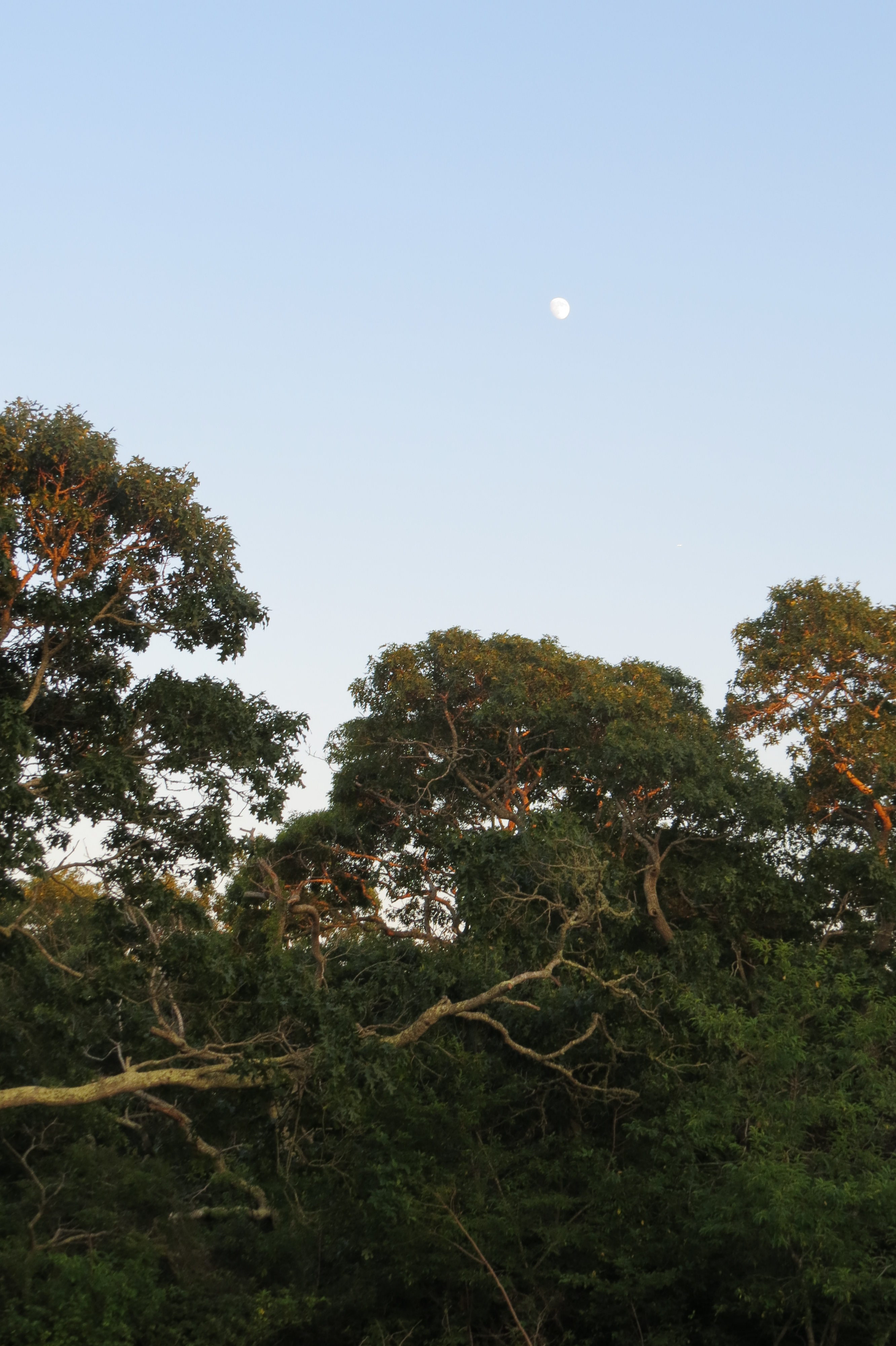 Moon Overhead, Visiting Chappaquiddick, Martha's Vineyard