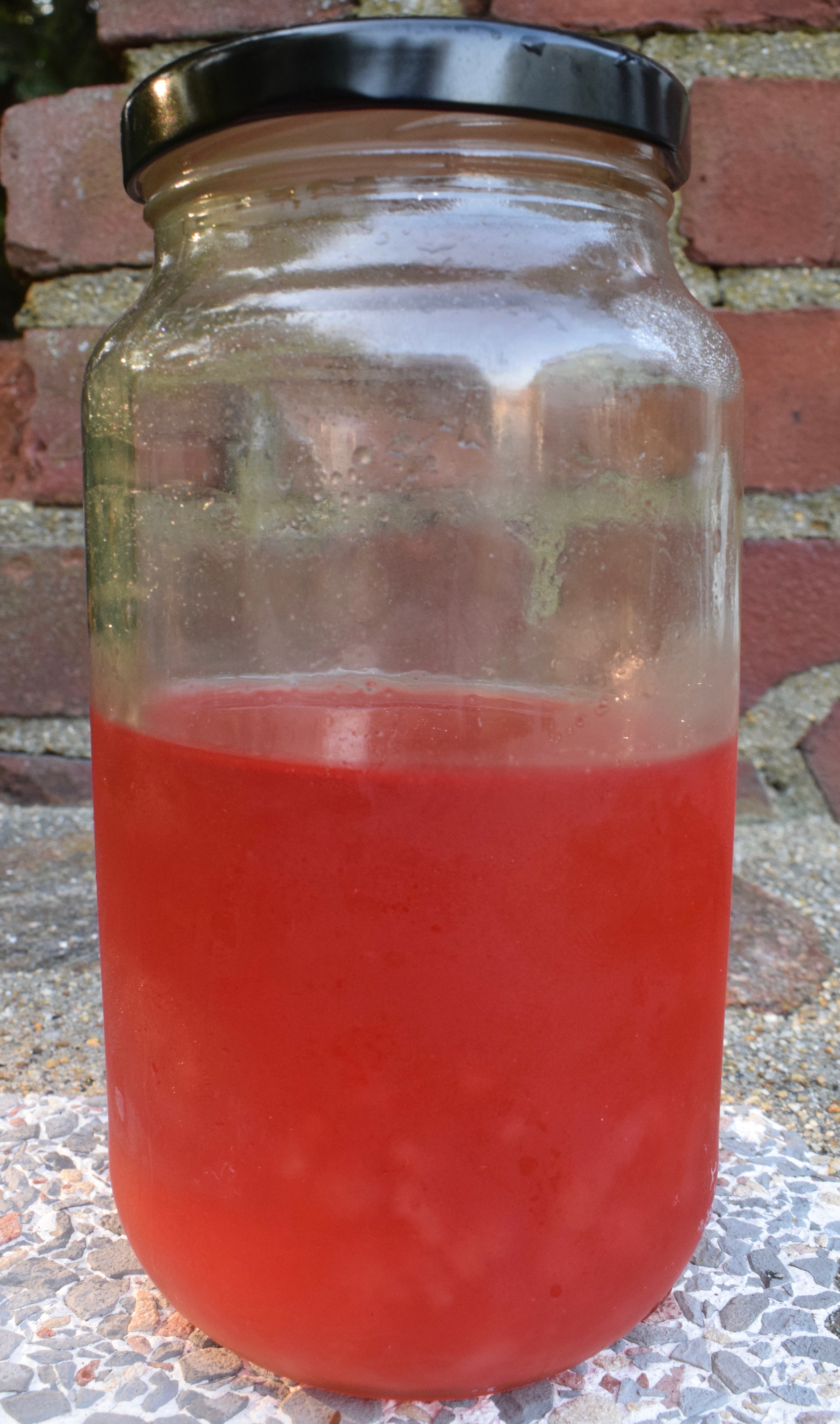 Rhubarb Simple Syrup, Batch 2