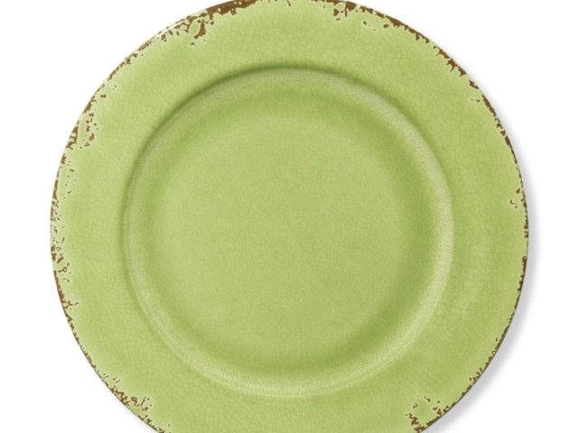 Williams Sonoma Rustic Green Dinner Plate