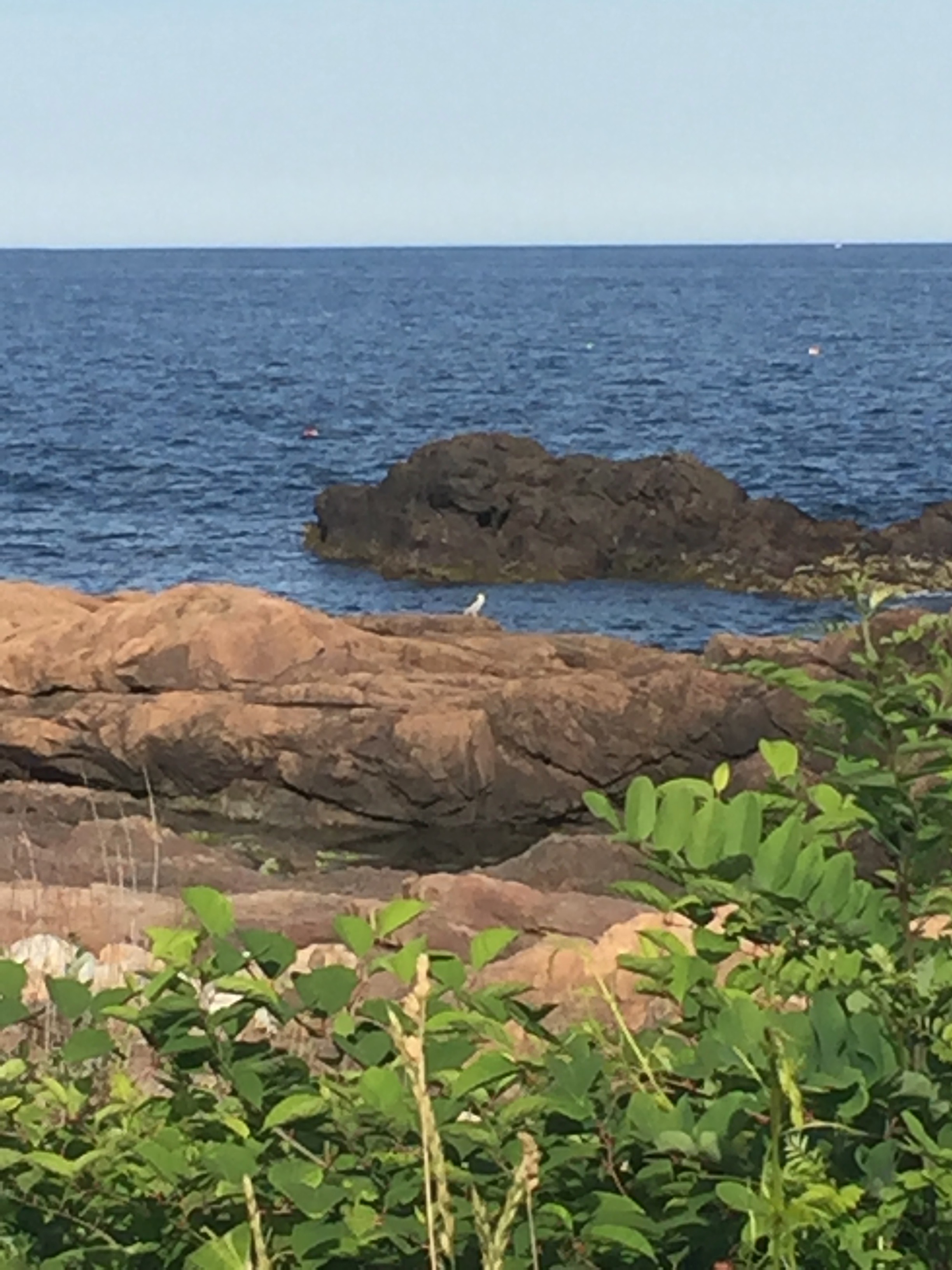 It's the weekend! Number 65, Rocky Coastline of Gloucester MA