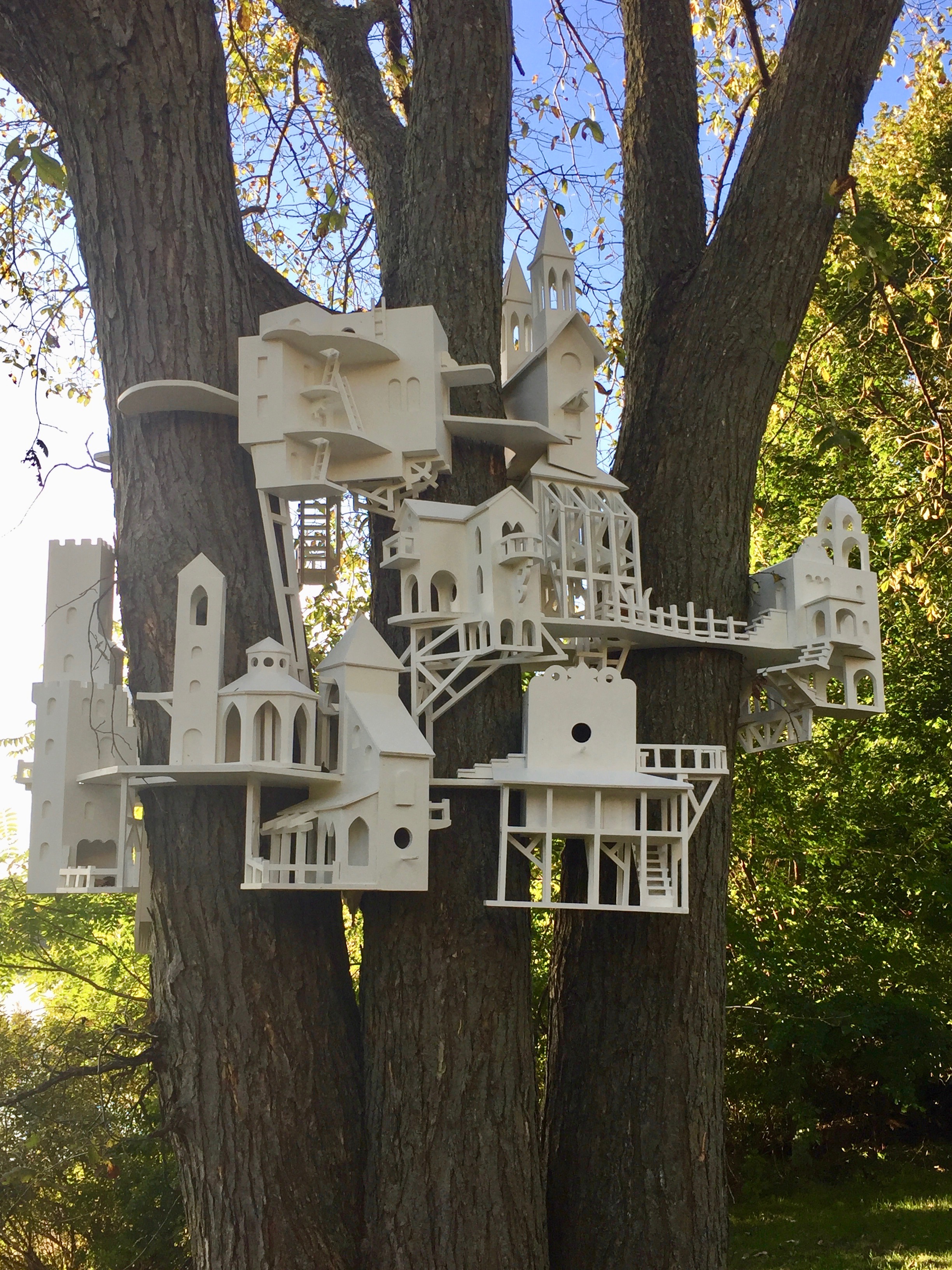 It's the weekend! Number 72, Bird House Installation Near the Arlington Bike Path, Side Two