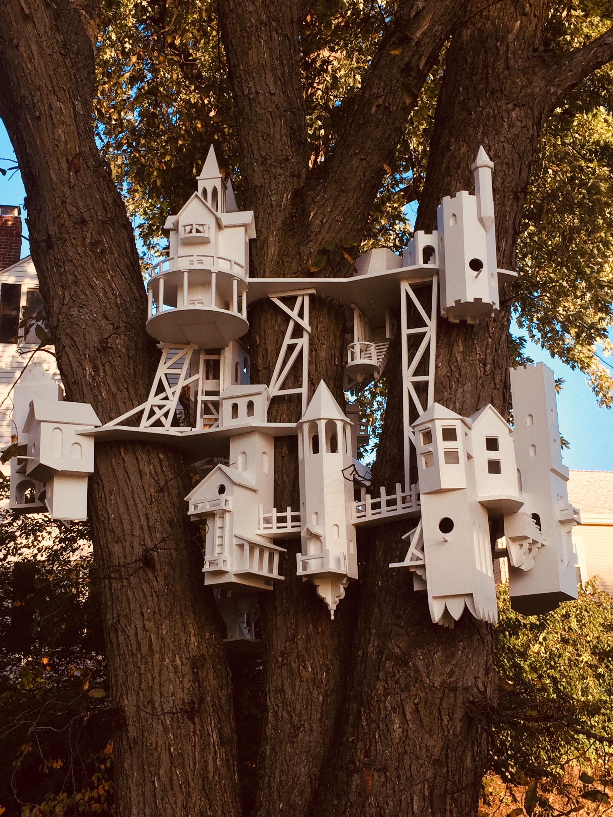 It's the weekend! Number 72, Bird House Installation Near the Arlington Bike Path, Side One