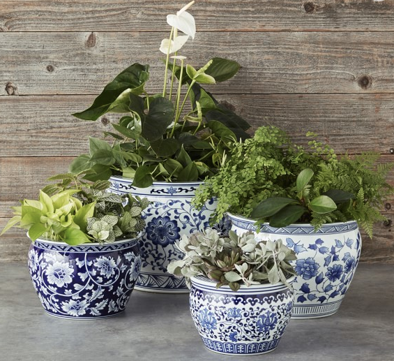 Blue and White Planters, A Selection From Williams and Sonoma