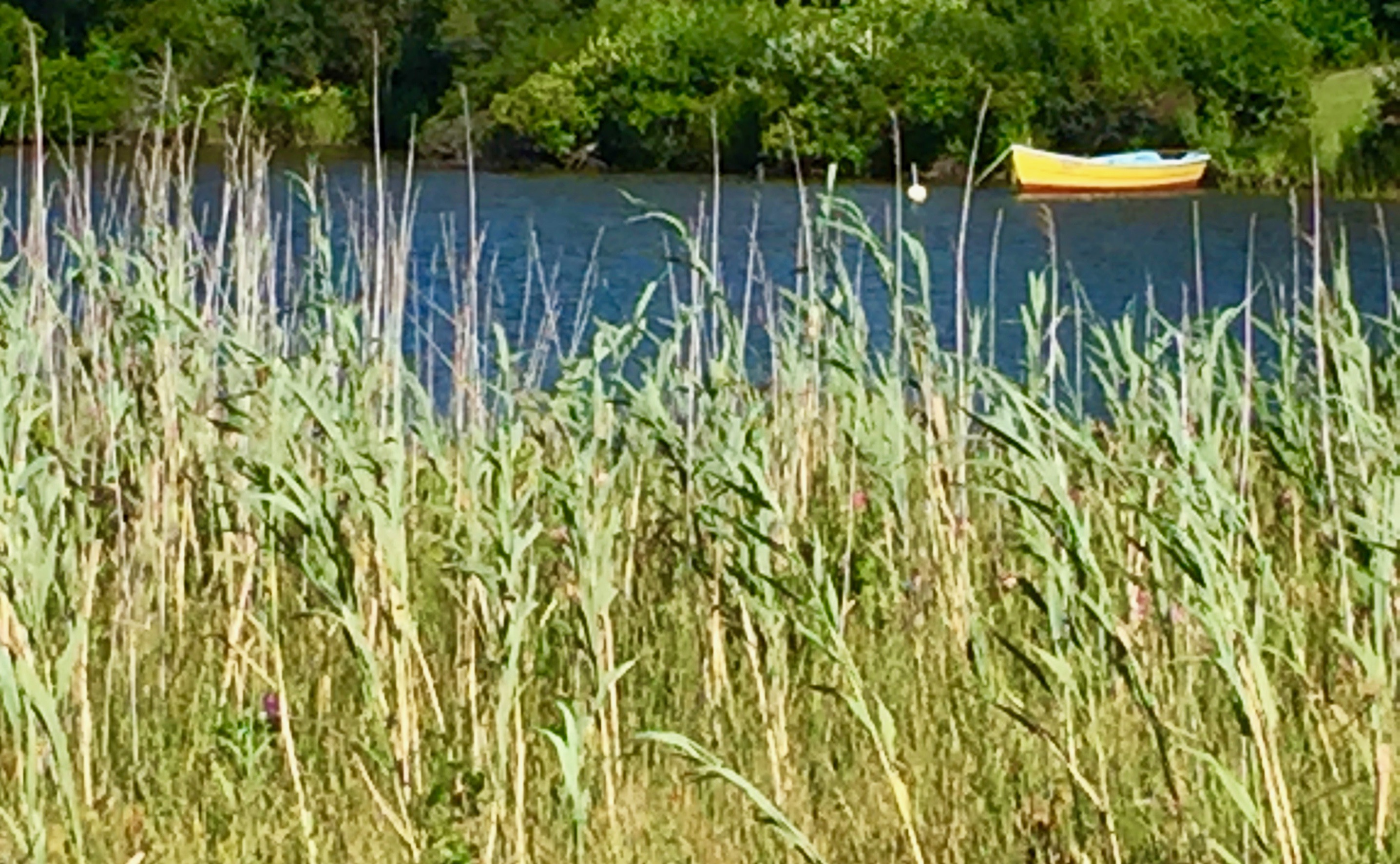 It's the weekend! Number 121, Red and Yellow Boat on a Lake