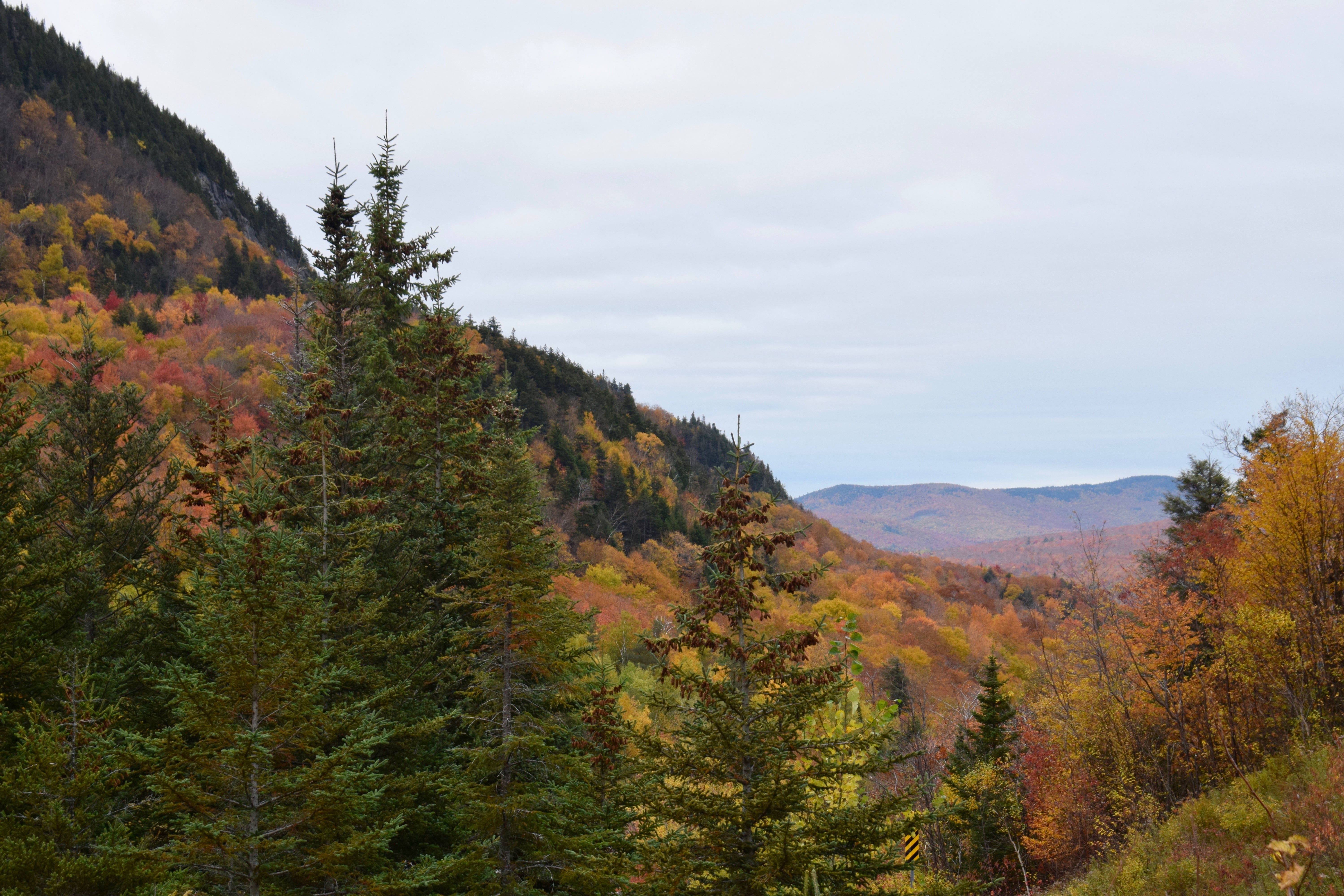 Fall Foliage Colors New Hampshire's Mountains