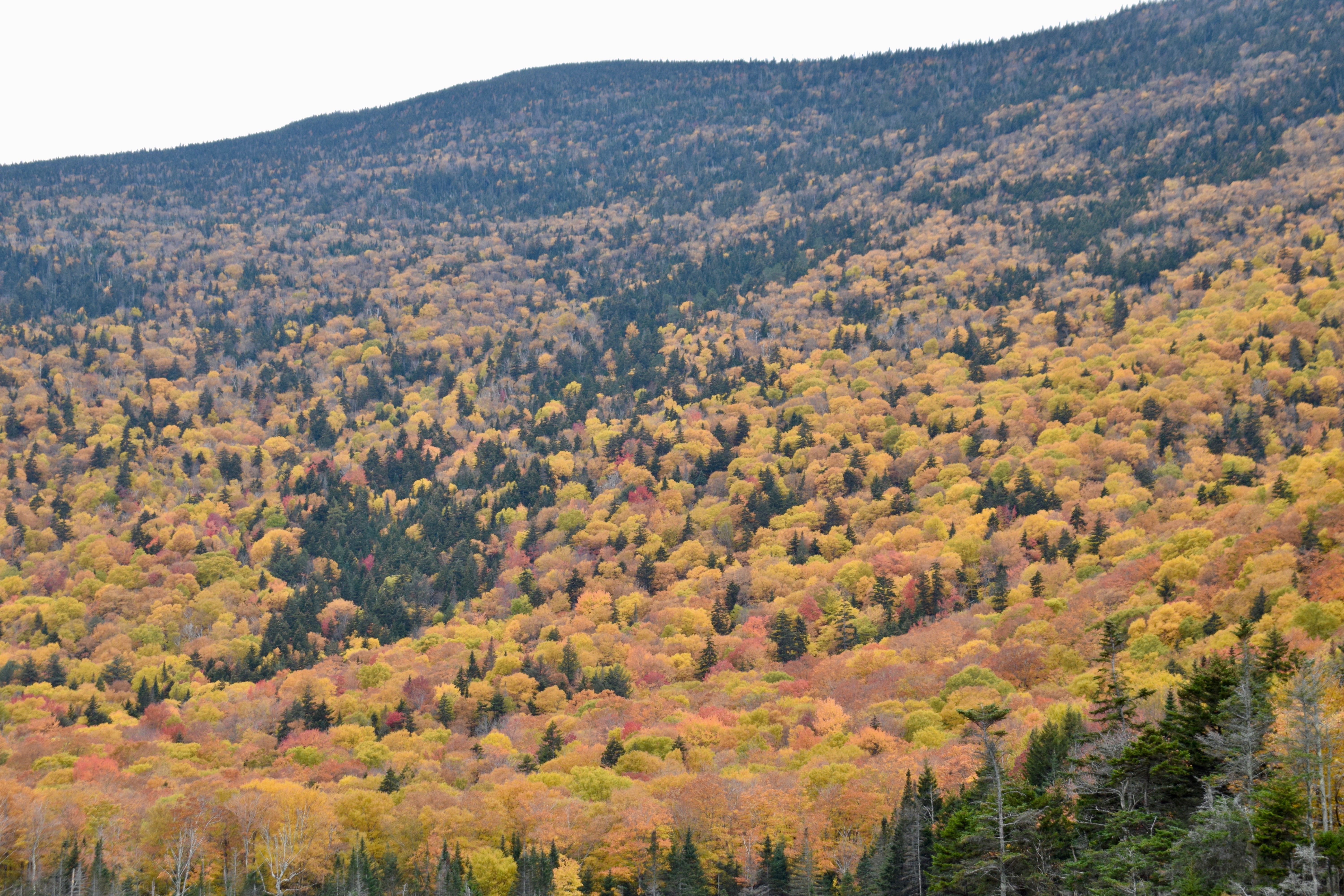 New Hampshire Mountain Blanketed in Color