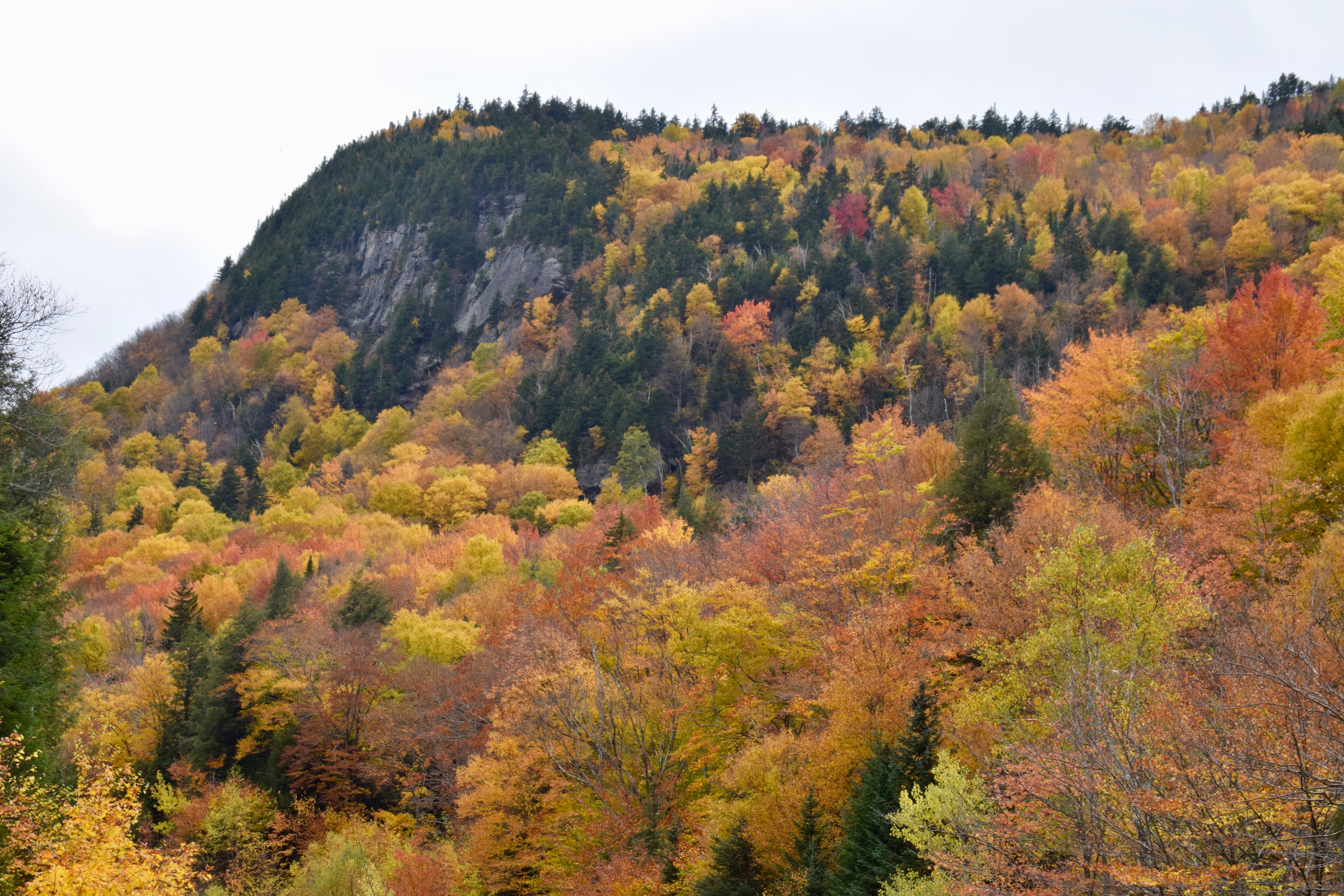 It's the weekend! Number 125, Fall Foliage on a NH Mountain