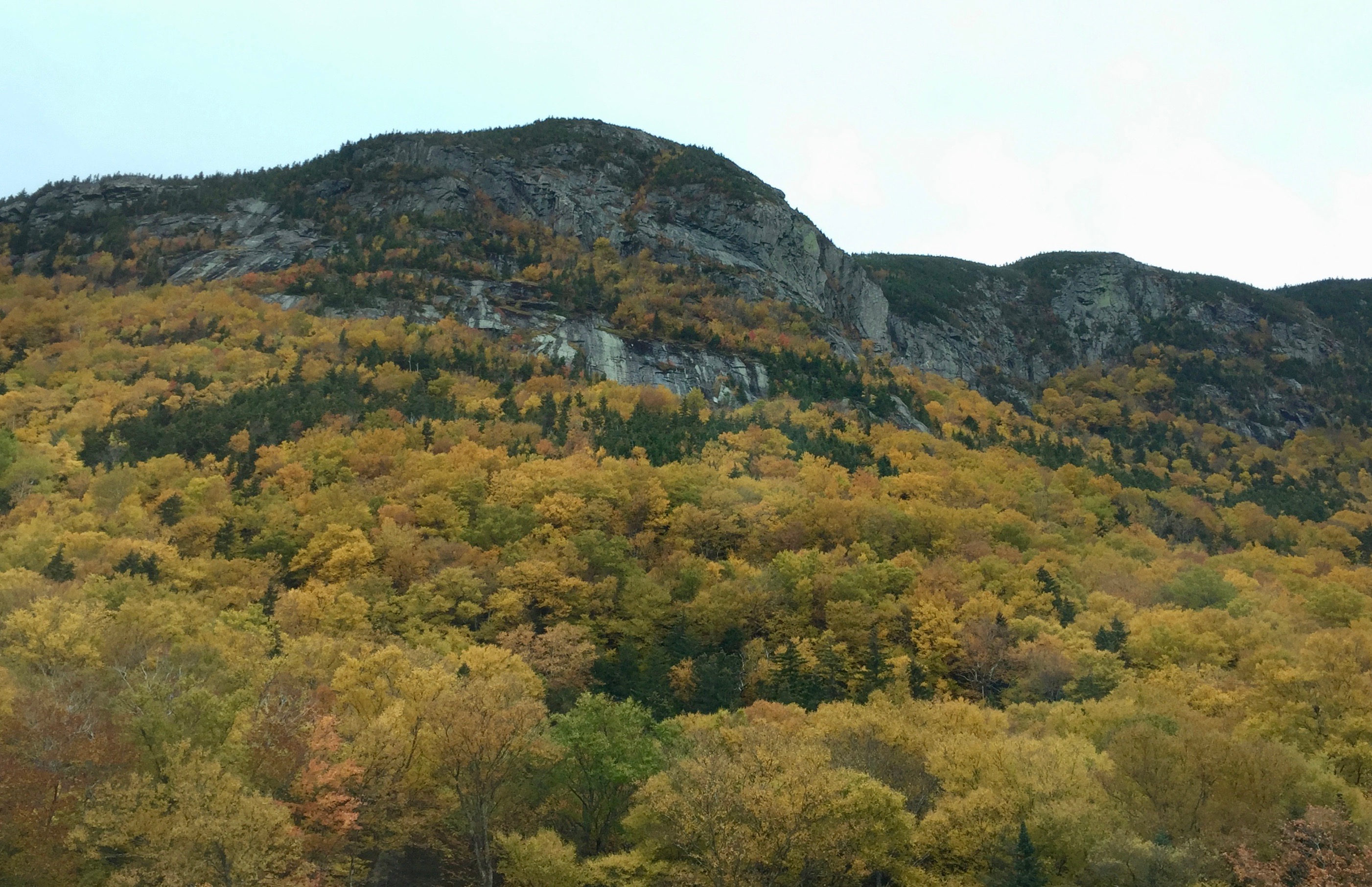 Stone Outcropping Surrounded with Fall Foliage