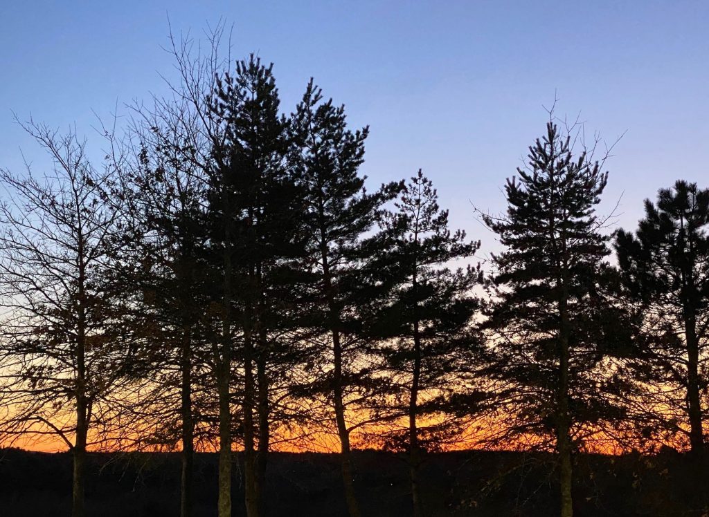 It's the weekend! Number 145, Sunset from a Bedford, MA office park