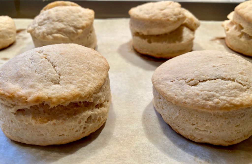 Sourdough Biscuits