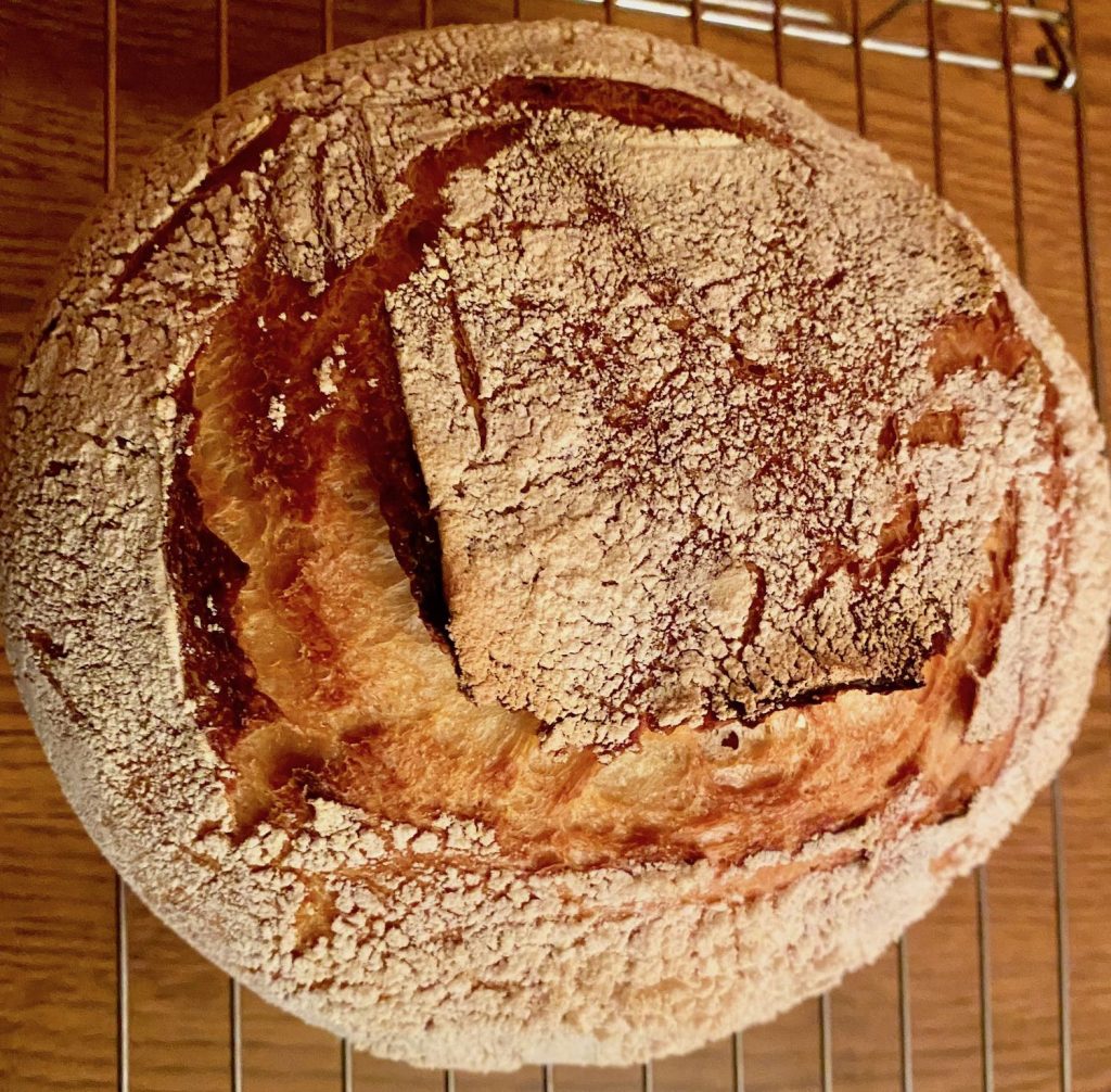 Sourdough Bread Loaf
