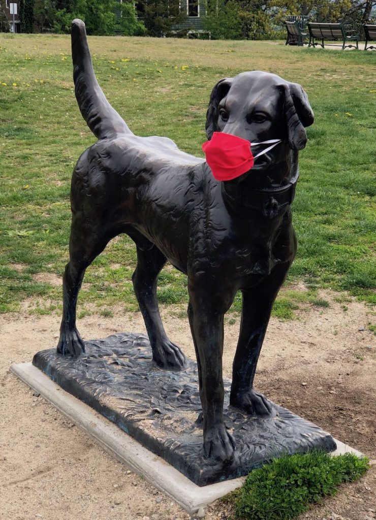 It's the weekend! Number 156, Dog Statue with Mask