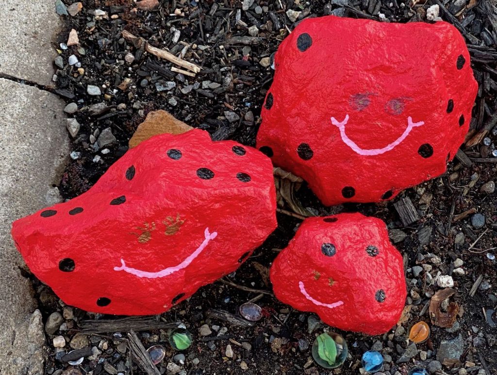 It's the weekend! Number 200, Painted Ladybug Rocks in a Neighborhood Yard