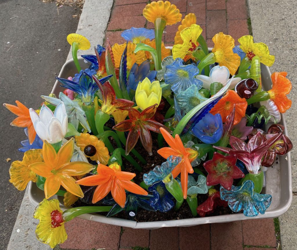 It's the weekend! Number 204, Glass Flowers Outside Chris Belleau's Shop in Providence, RI