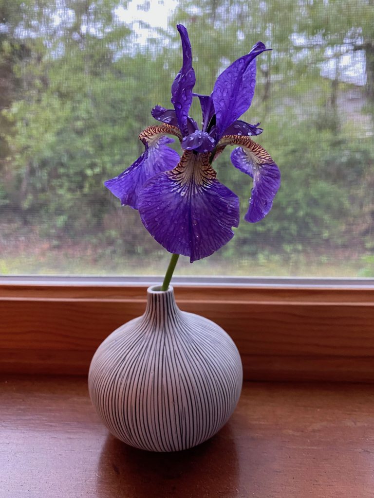 It's the weekend! Number 205, Rain-Drenched Iris Perched on a Window Sill