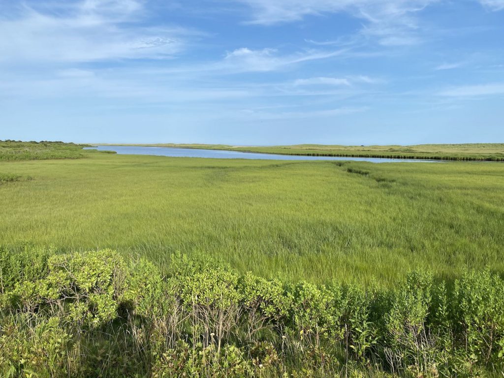It's the weekend! Number 212, Marsh Grasses and Blue Water of Mattakesett Bay on Martha's Vineyard