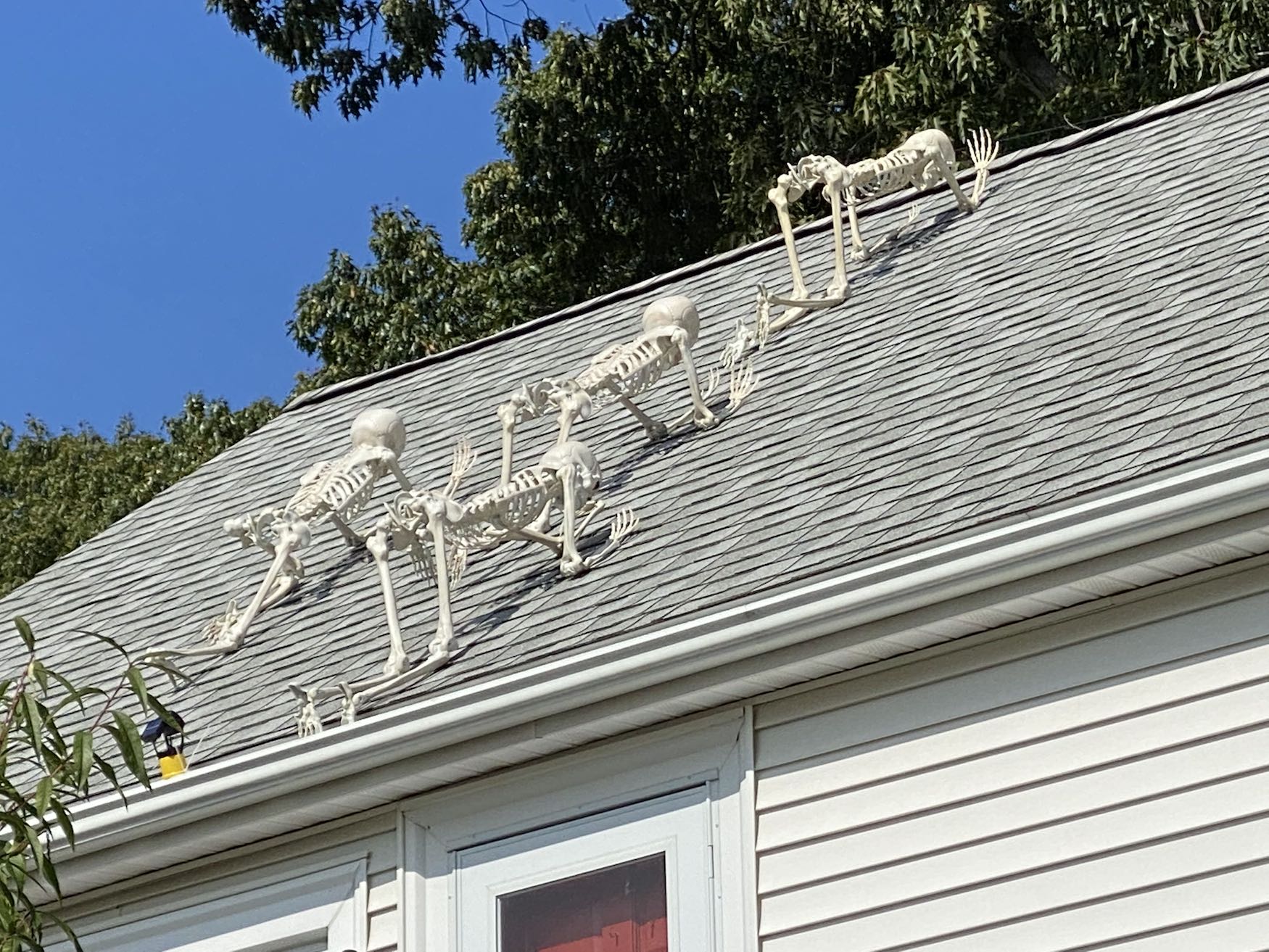 It's the weekend! Number 224, Halloween Skeletons Scale a Roof