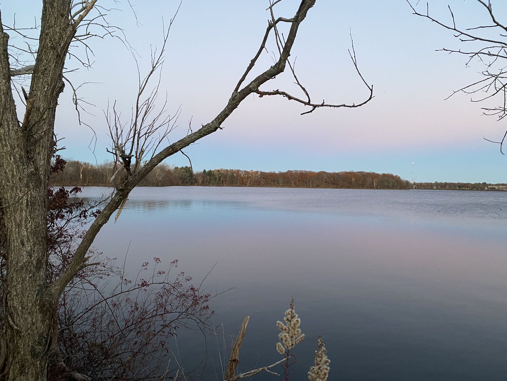 Pink Reflection in Reservoir, Fresh Pond Reservation Loop Trail
