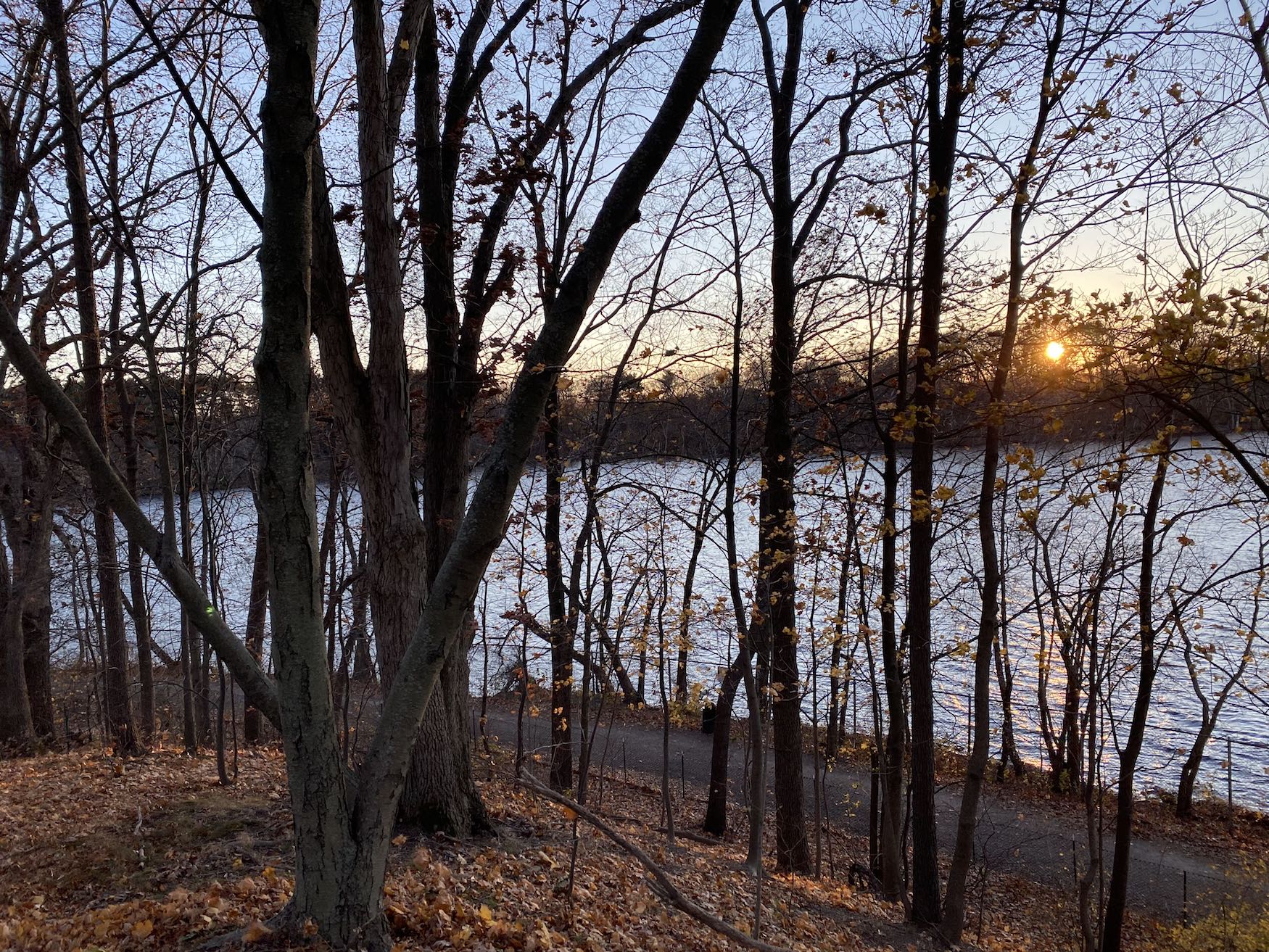 Sunset on Fresh Pond Reservation Loop Trail