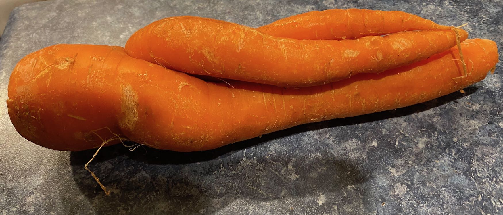 It's the weekend! Number 231, An Oddly Shaped Carrot from the Grocery Store