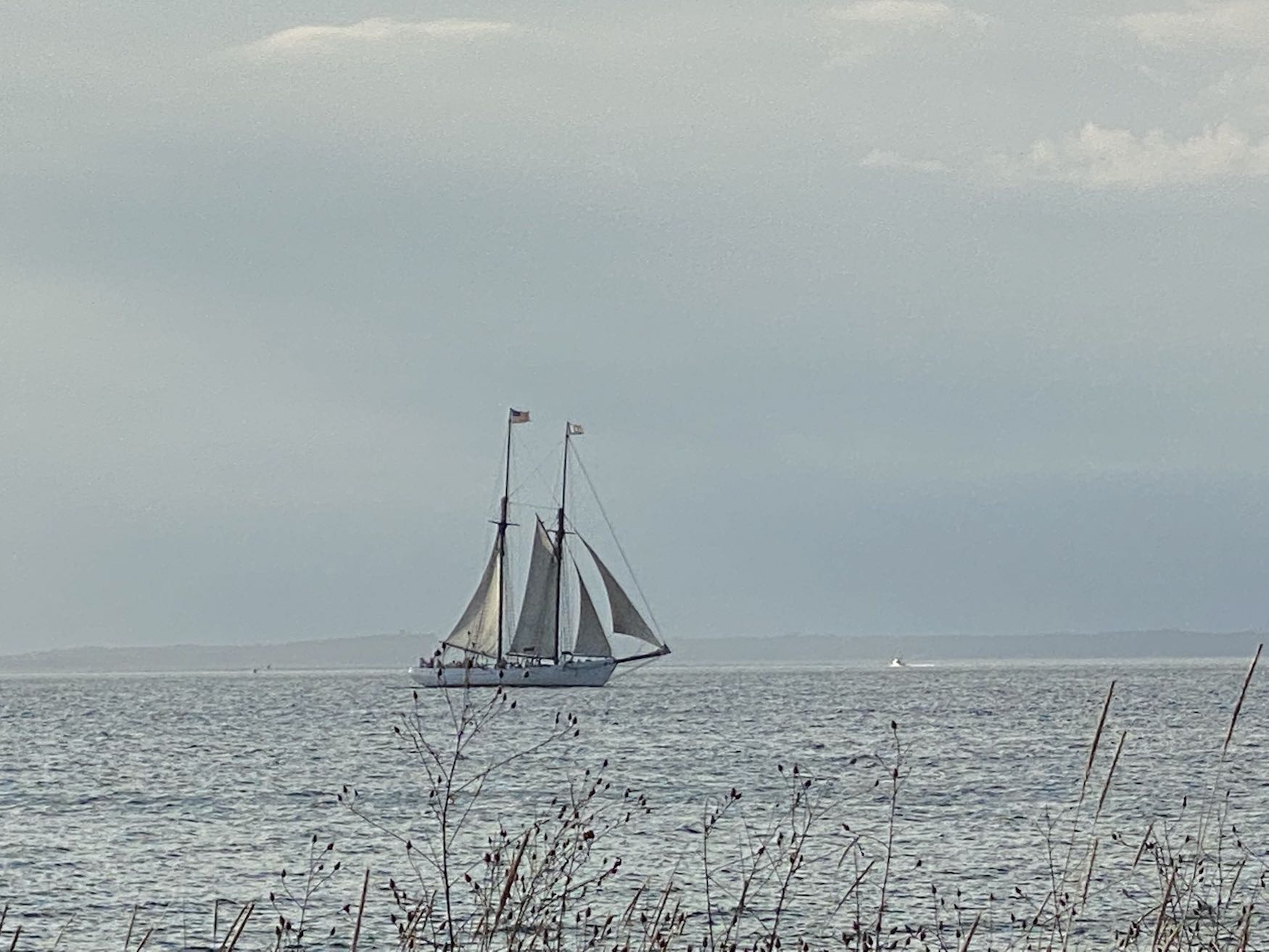 It's the weekend! Number 262, Tall Ship Alabama Sailing Off of Martha's Vineyard