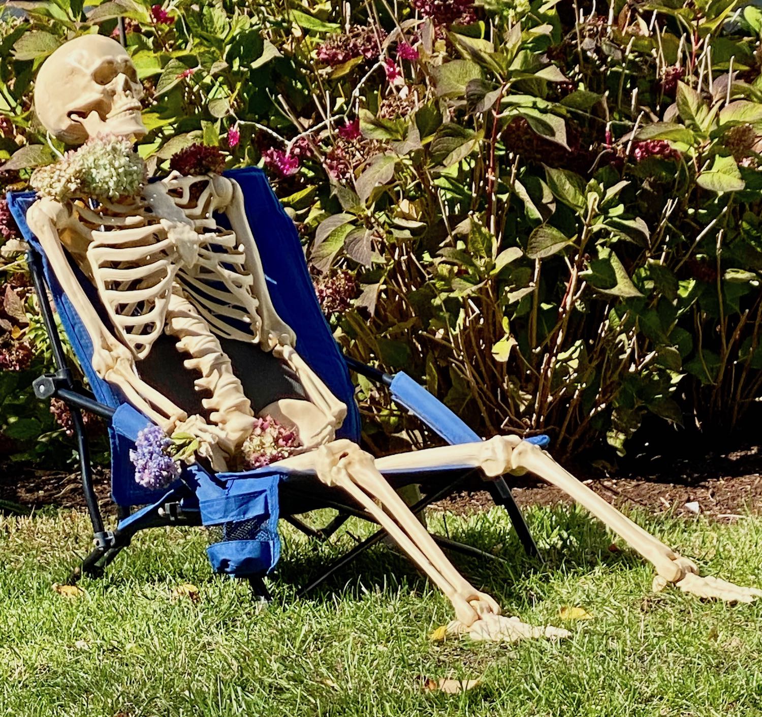 It's the weekend! Number 269, Skeleton Adorned with Hydrangea Blooms