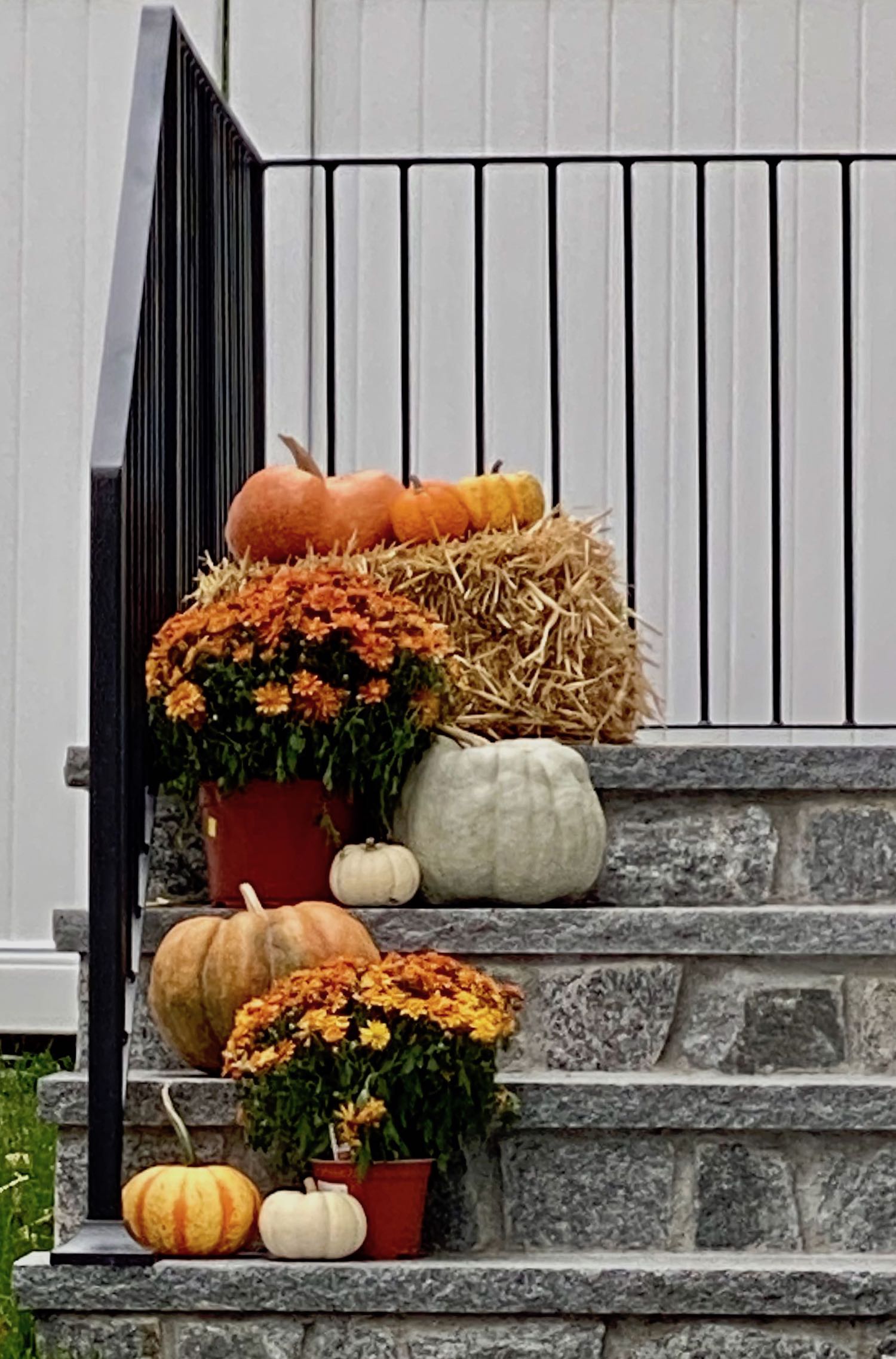 It's the weekend! Number 272, Mums and Gourds on Front Steps