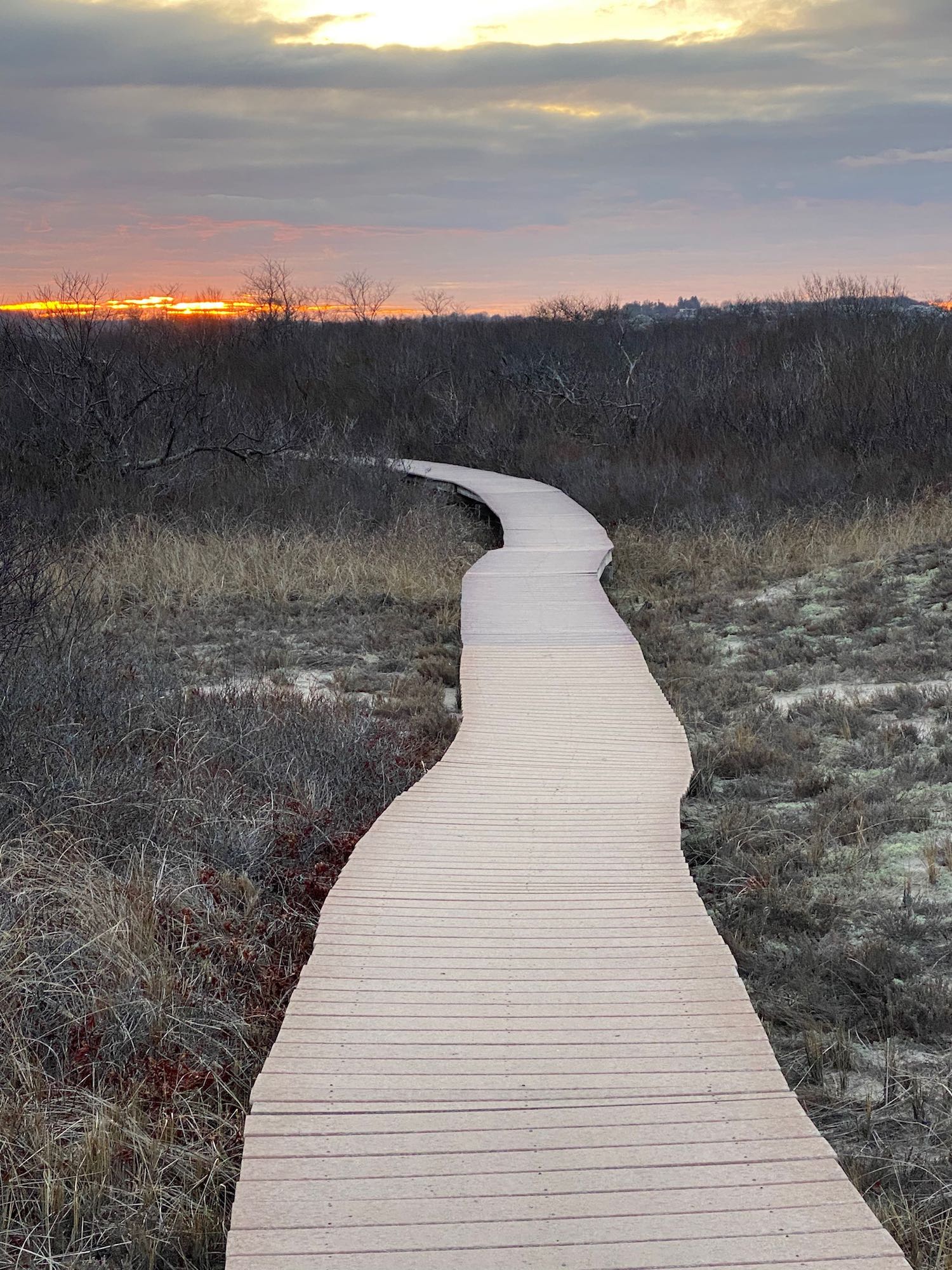 It's the weekend! Number 279, Boardwalk at Parker River National Wildlife Refuge in MA