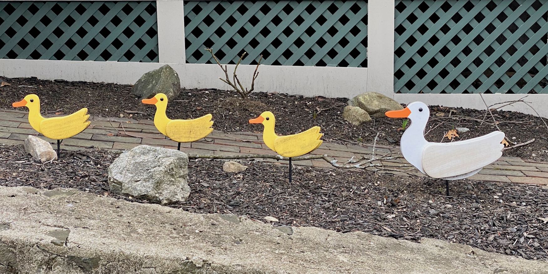 It's the weekend! Number 290, Painted Ducks in a Front Yard