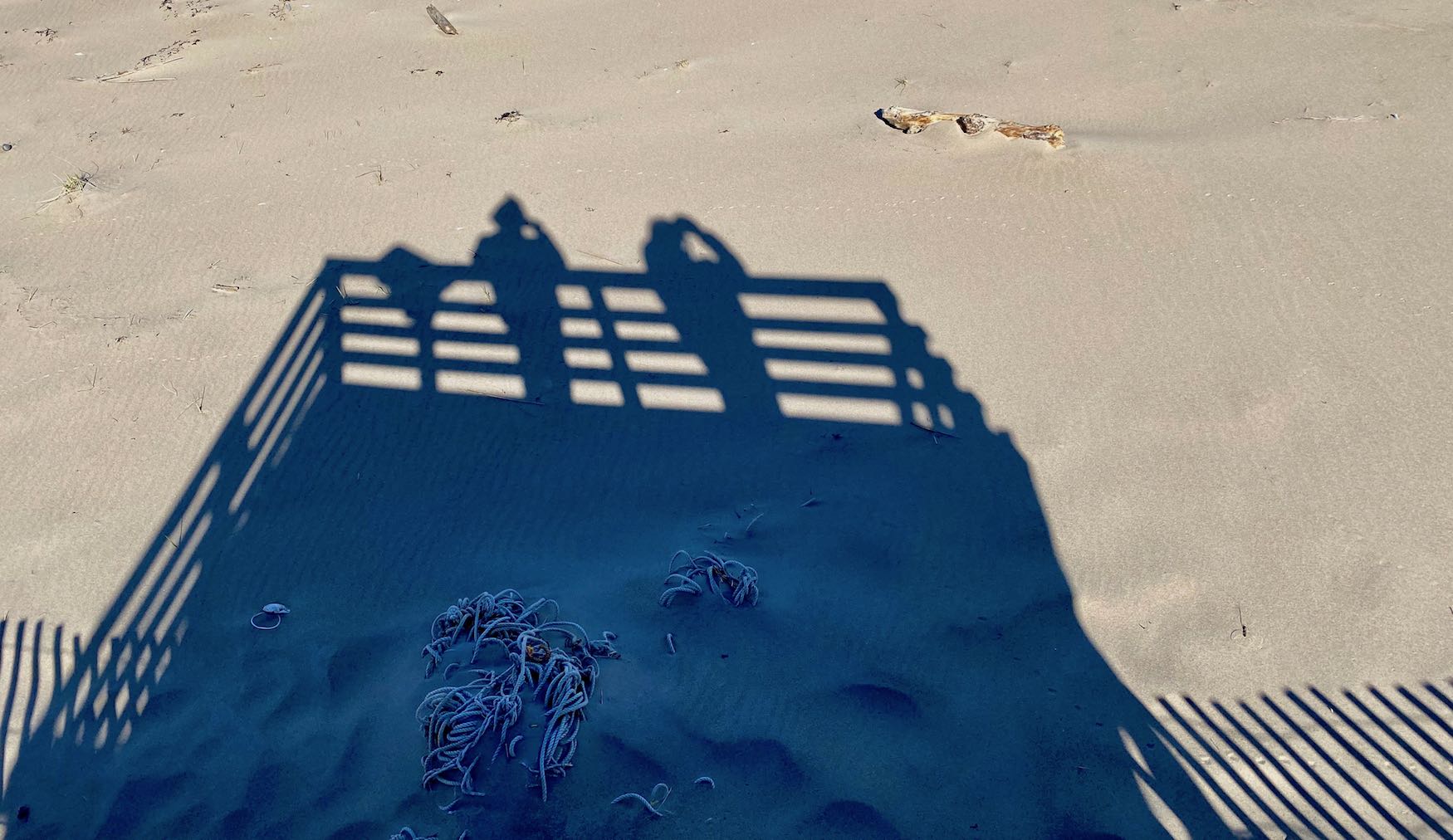 It's the weekend! Number 292, Our Shadows on the Beach at Plum Island, MA