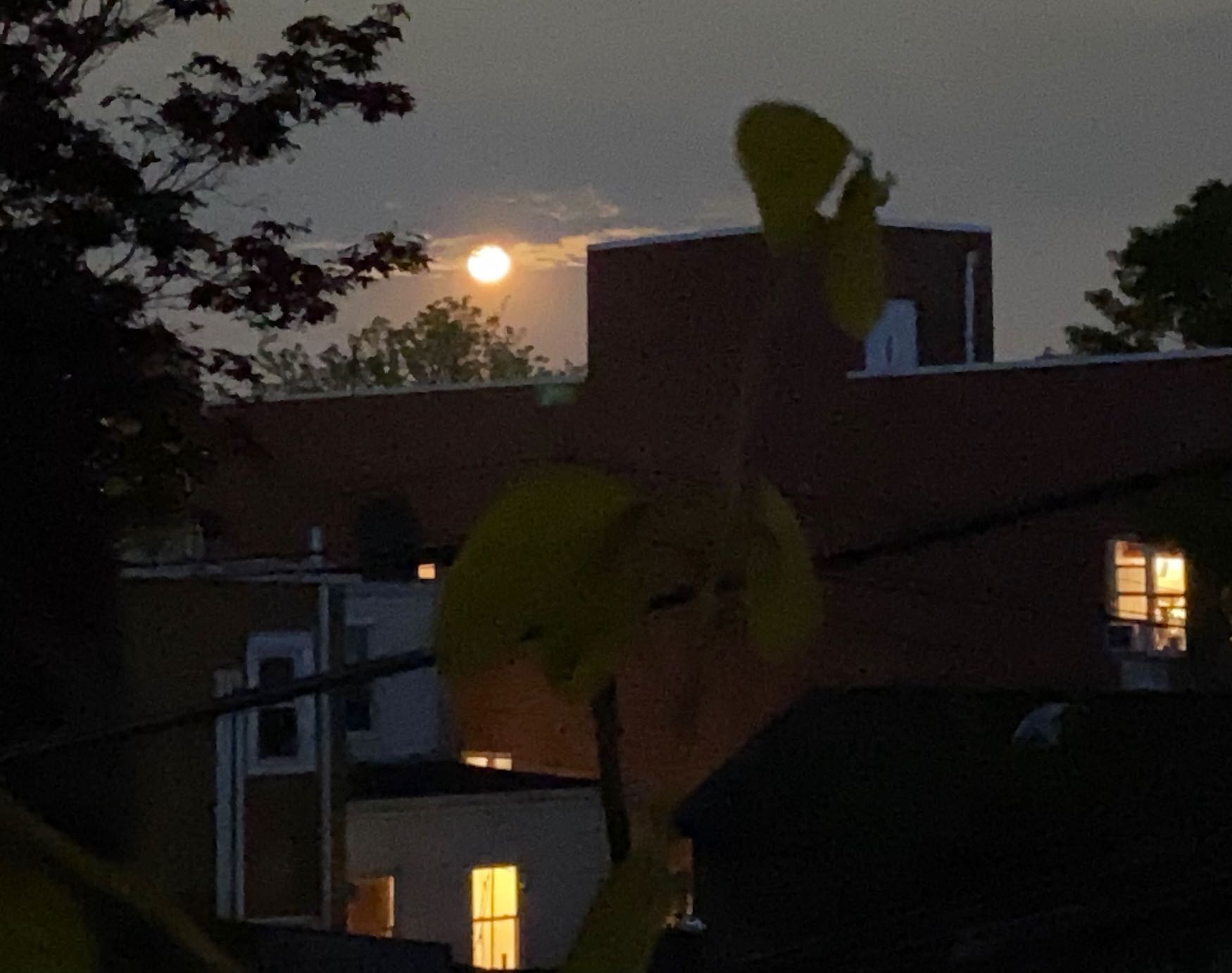 It's the weekend! Number 296, Moon Rising Over Brooklyn Rooftops