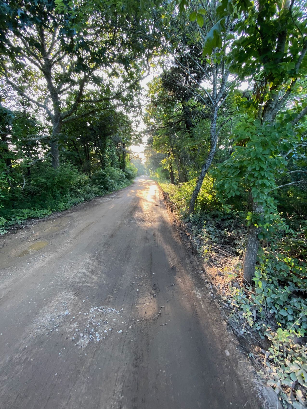 It's the weekend! Number 303, Sunlight Shines on a Dirt Road After a Rain
