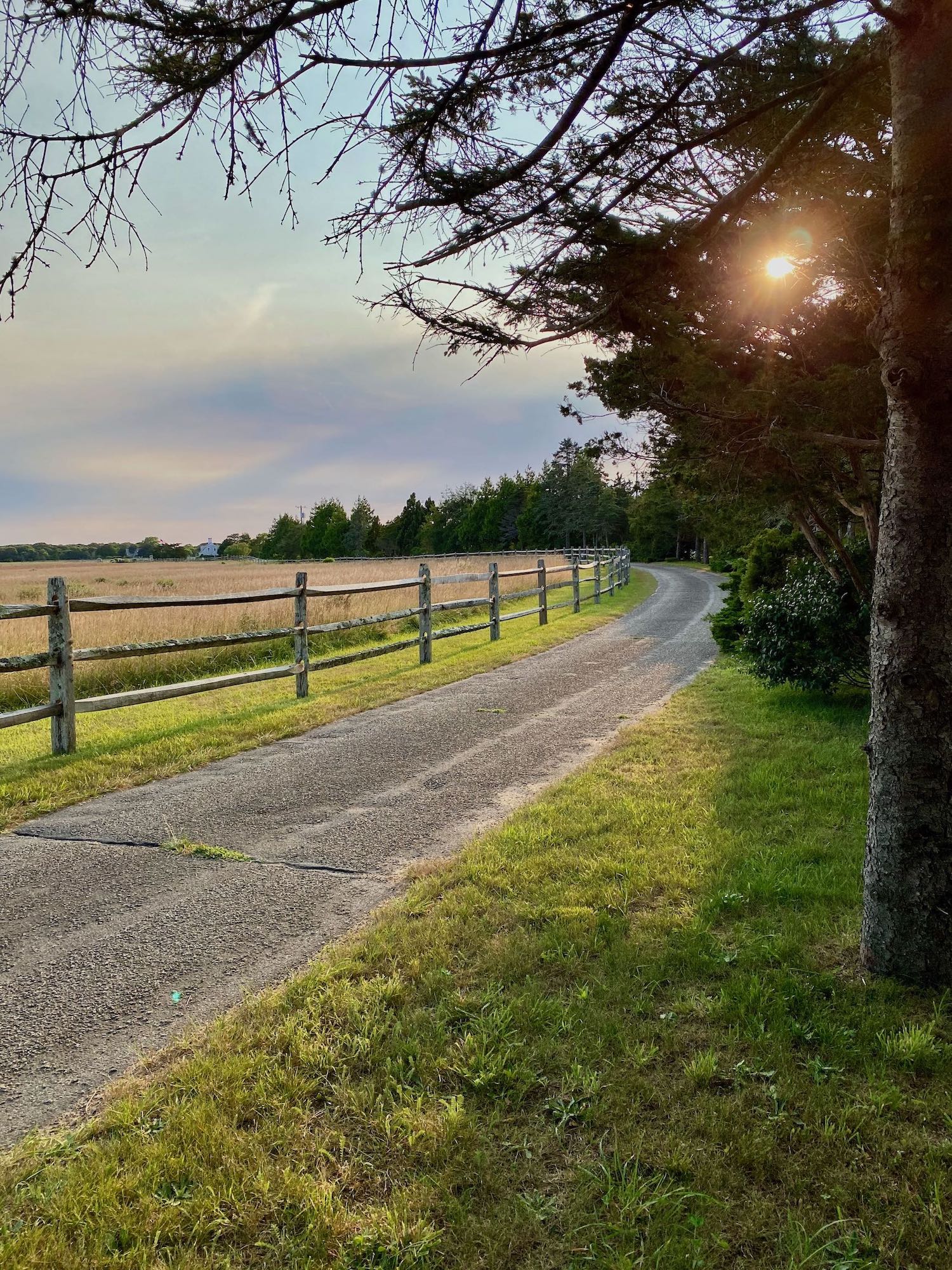 A Split Rail Fence and Golden Grass at Sunset