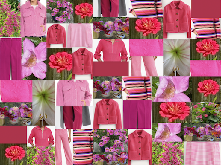 A Collage of Pink Things Including Clothes and Flowers