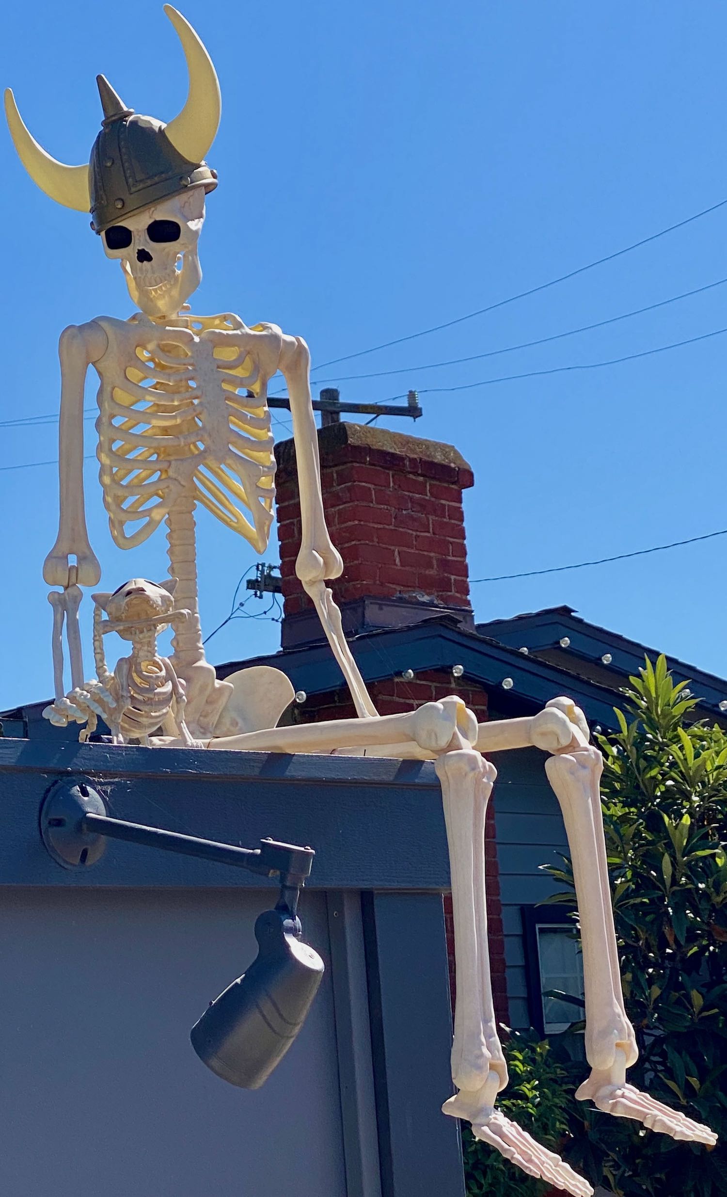 It's the weekend! Number 314, Halloween Skeleton in a Viking Hat in Solvang, California