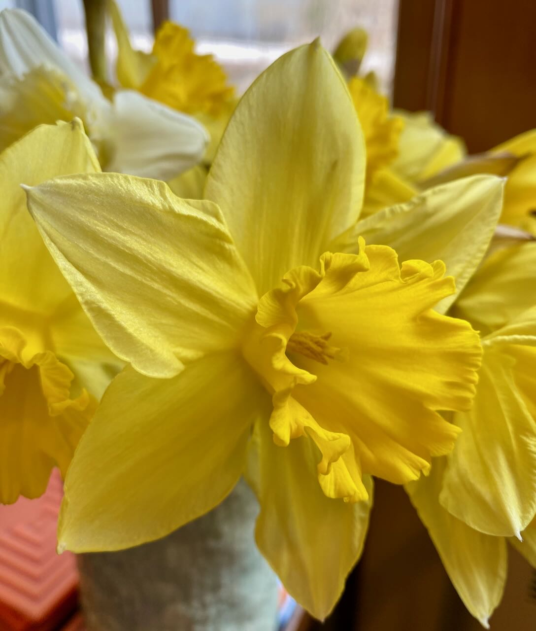 It's the weekend! Number 332, Closeup of Daffodils in a Vase