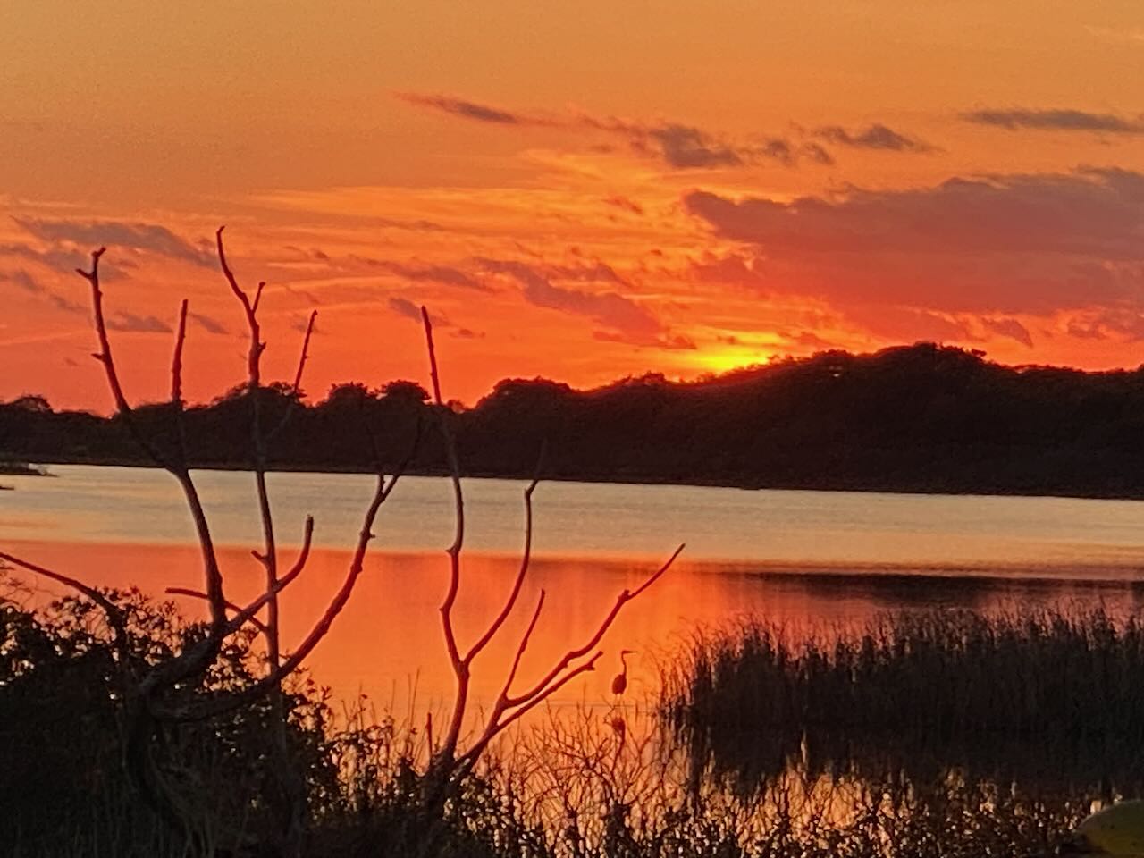 It's the weekend! Number 349, Sunset and Heron on Slough Cove, Martha's Vineyard