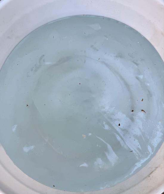 Frozen Water in Bucket