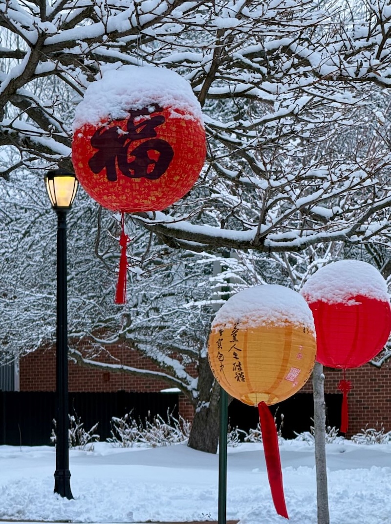 Red and Yellow Chinese Lanterns Covered in Snow