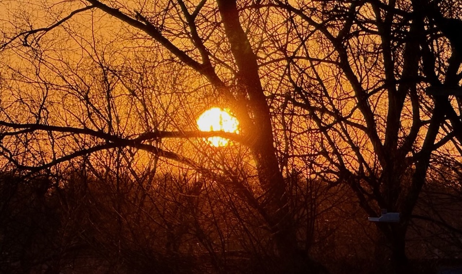 It's the weekend! Number 383, Winter Sunset Through Trees